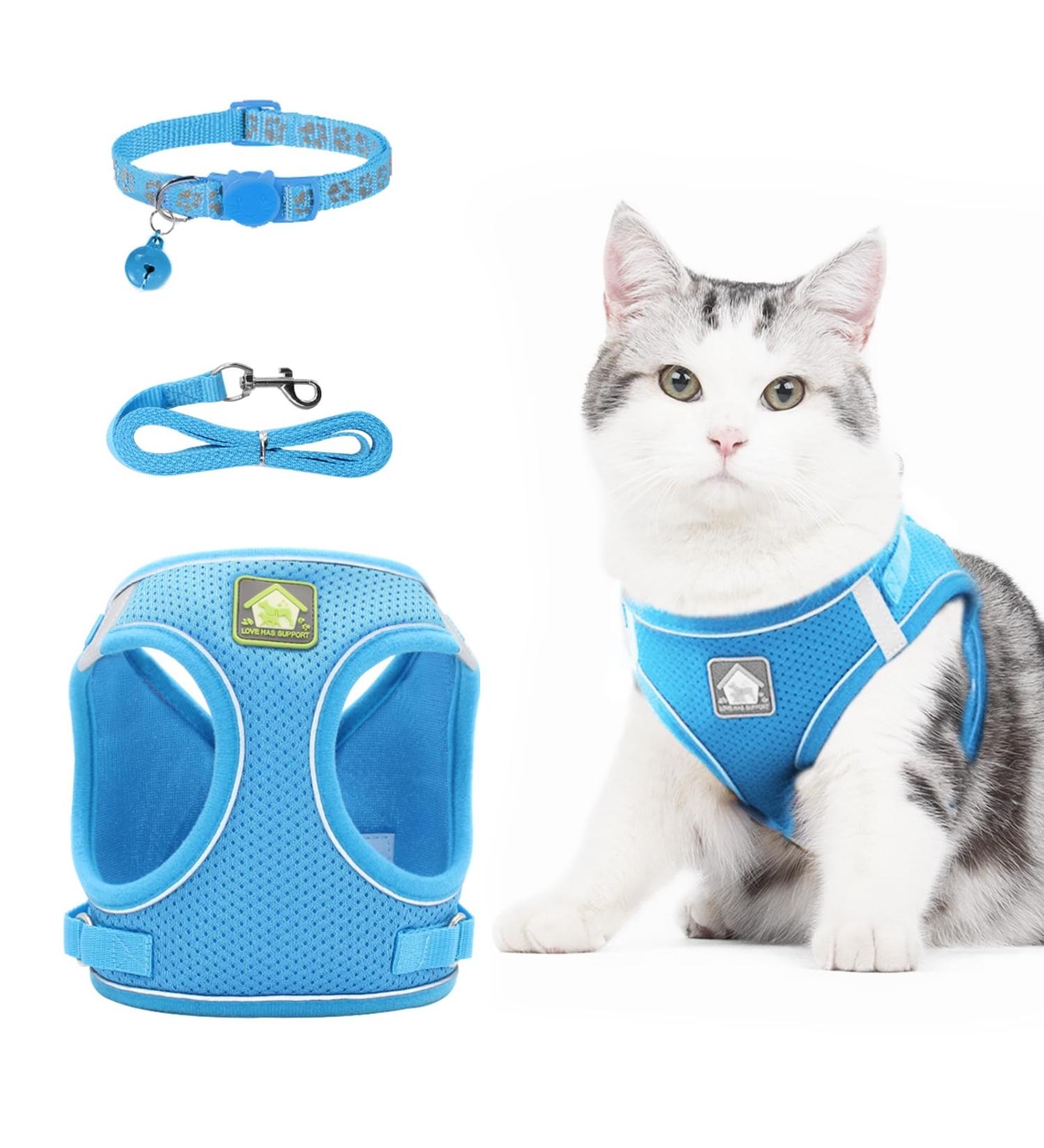 Neuwehe Cat Dishes Set with Leash - Adjustable Cat Harness & Tableware for Big Cats & Small Dogs (M Blue) - Outbreak-Proof & Durable - Buy Online on GoSupps.com