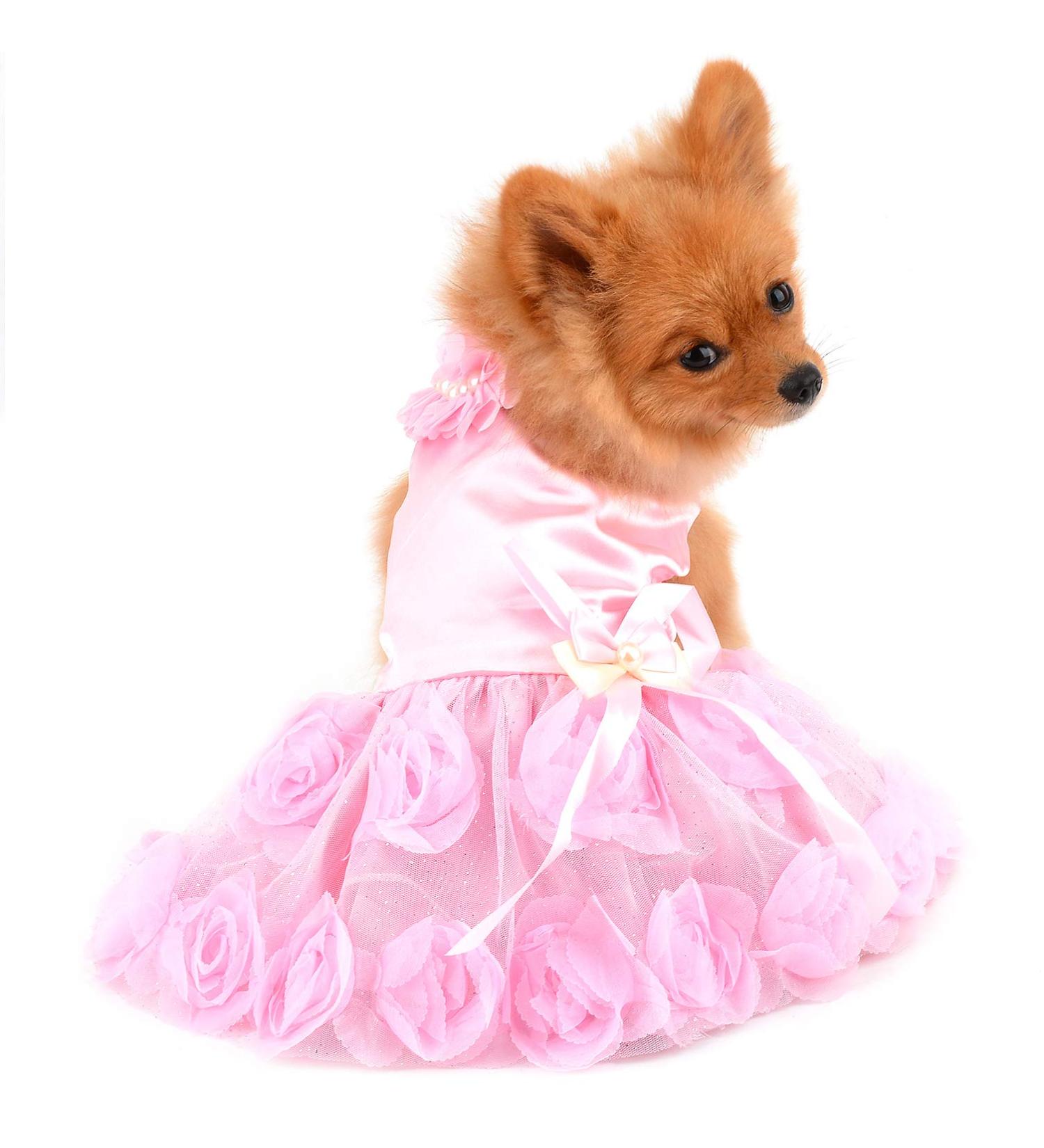 PAIDEFUL Luxury Pet Wedding Dress for Small Dog Girls | Rose Flower Lace Tutu Skirt with Silky Bow | Birthday Party Dog Clothes in Pink - Size XL - Buy Online on GoSupps.com