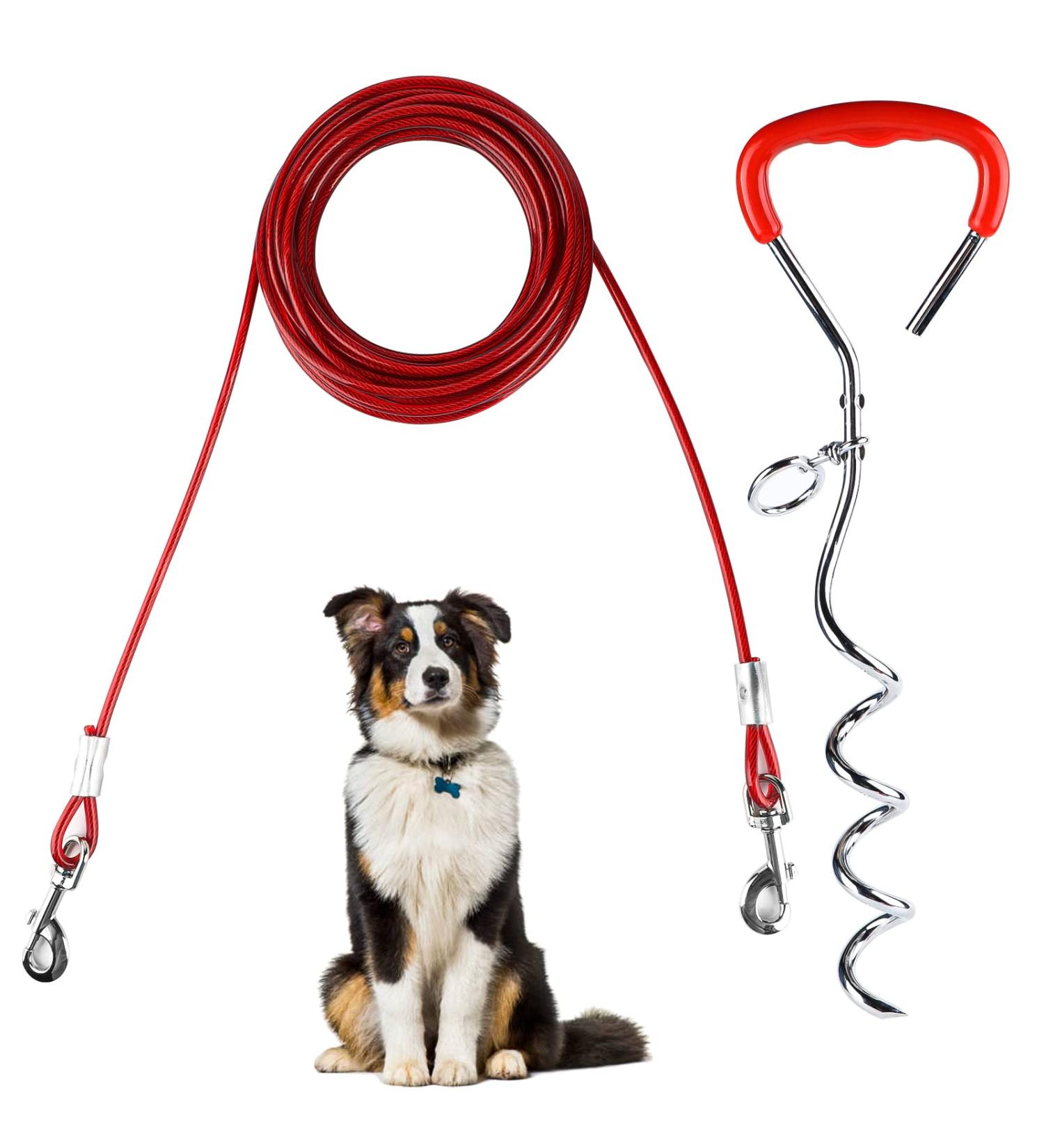 EFUTURTETIME Plution for Dishes Lice & 9m Dog Leash - Durable Base Piral Dog Floor Anchor for Outdoor Camping & Farm Use - Perfect for Small to Large Dogs - Buy Online on GoSupps.com