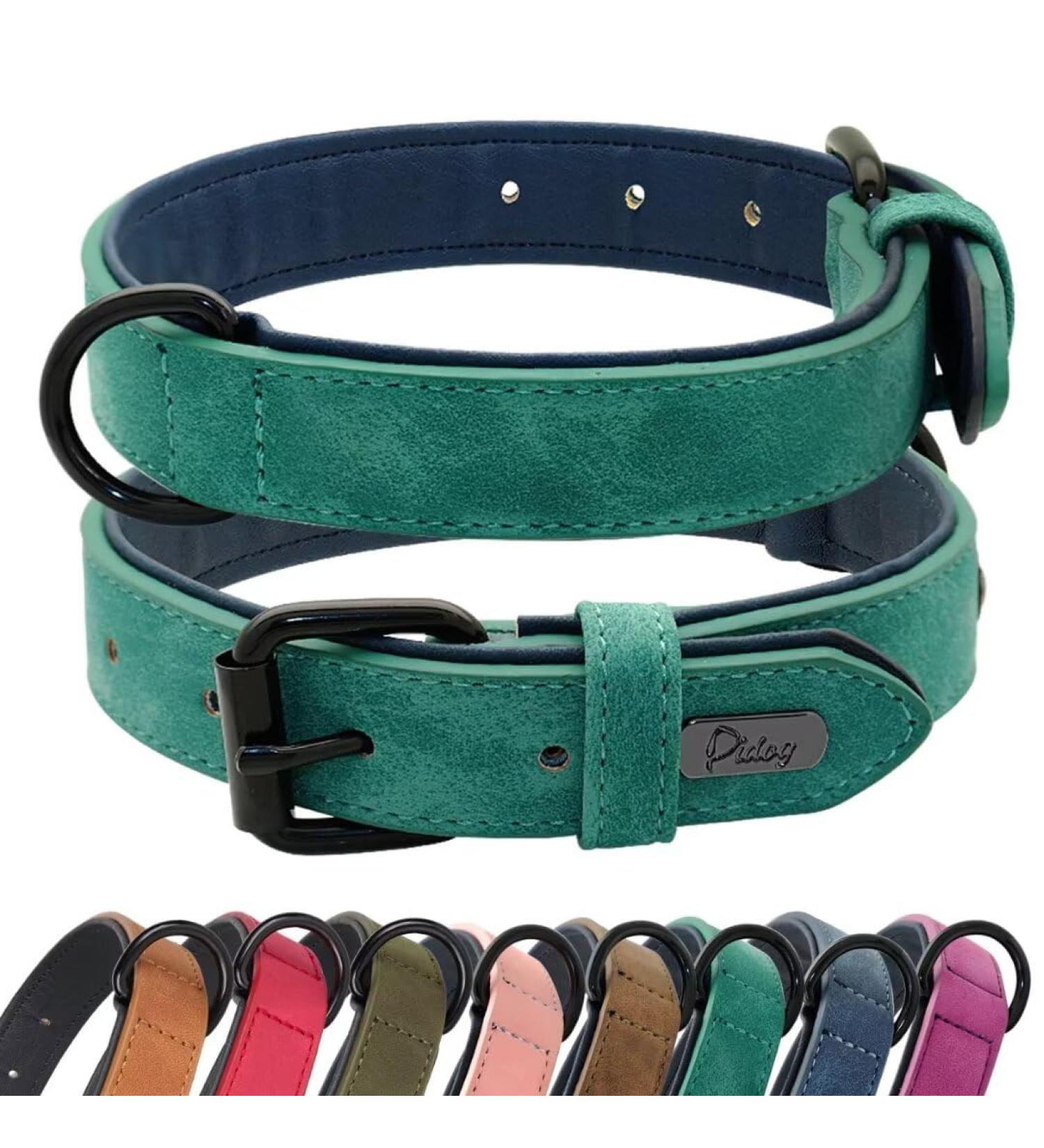 Didog Soft Padded Leather Dog Collar for Medium & Large Dogs - Adjustable Durable Rust-Free Buckle Green (M: 27-33 cm) - Buy Online on GoSupps.com