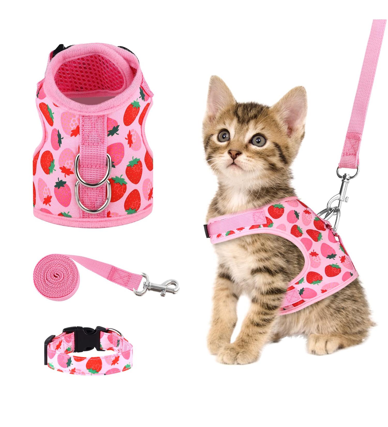 URATOT Cat Harness and Leash Set - Strawberry Small Pet Harness for Kitties, Puppies, Small Pets - Outdoor Walking Vest Harness and Collar Set - Buy Online on GoSupps.com