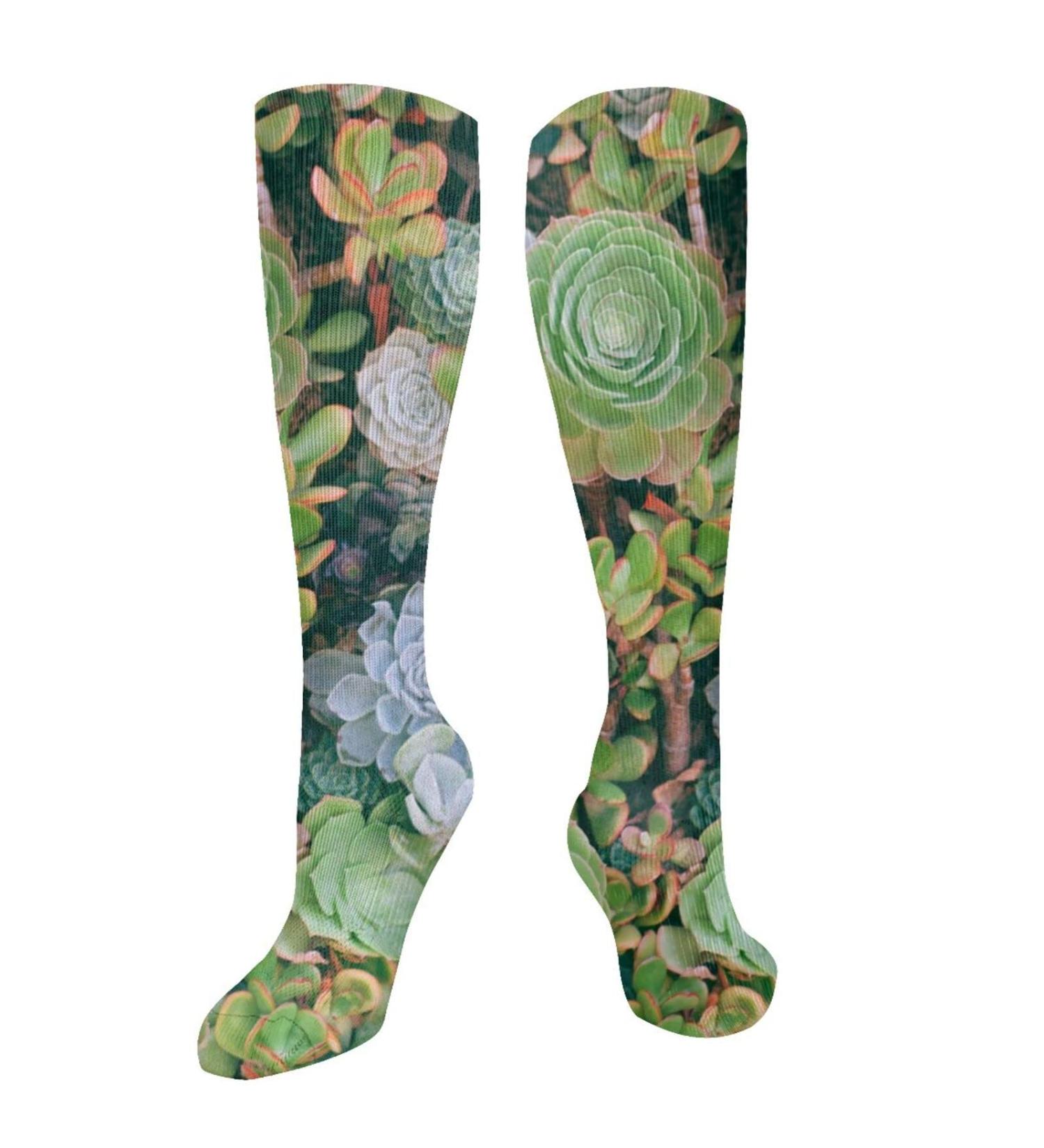 Shop Succulent Compression Socks for Men & Women | 15-20 mmHg Support for Running & Cycling - Buy Online on GoSupps.com