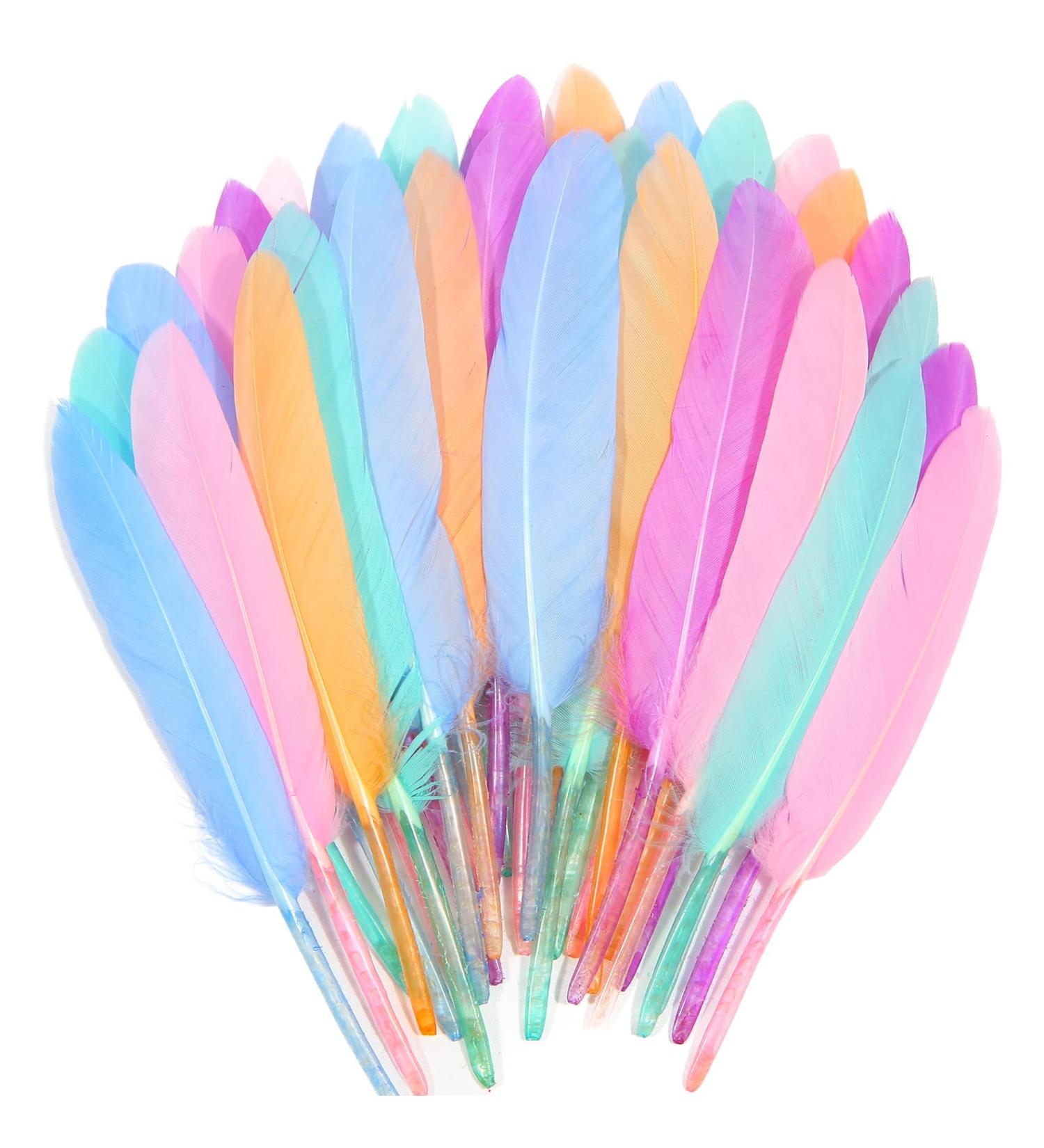 FeelfunFeather 240pcs Macaron Goose Cochettes Feathers 4-6 inch Bulk Natural - Wedding Party Halloween DIY Crafts - Buy Online on GoSupps.com