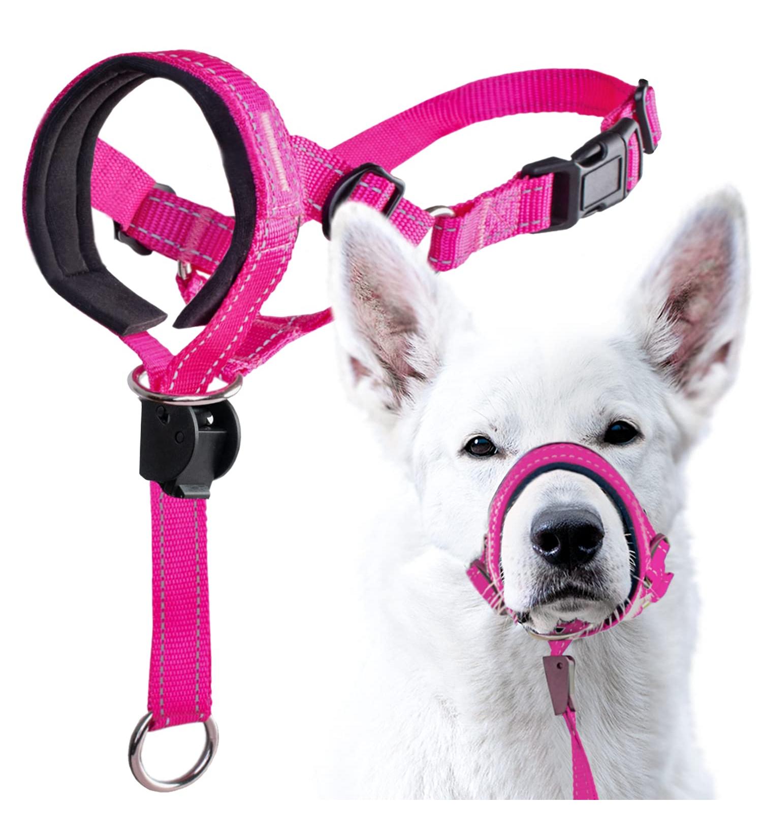 GoodBoy Halter for Dogs - Pink Nylon with Black Padding - 2 Piece Set | International Shipping Available - Buy Online on GoSupps.com