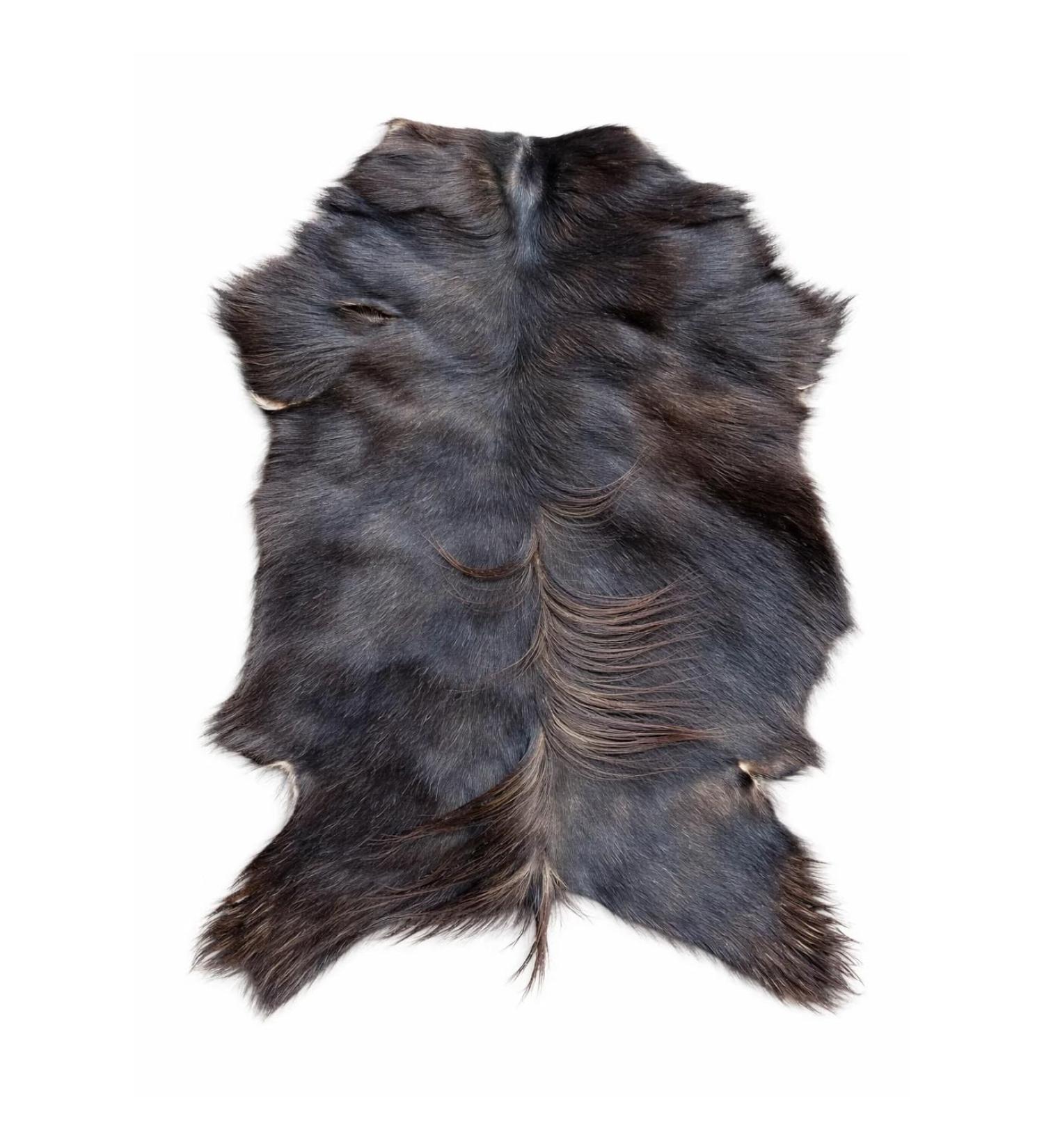 Provellus Goatskins Goat Fur No Odour Top Tanning Natural Bargain (Dark Pack of 5 120-130 cm) - Buy Online on GoSupps.com