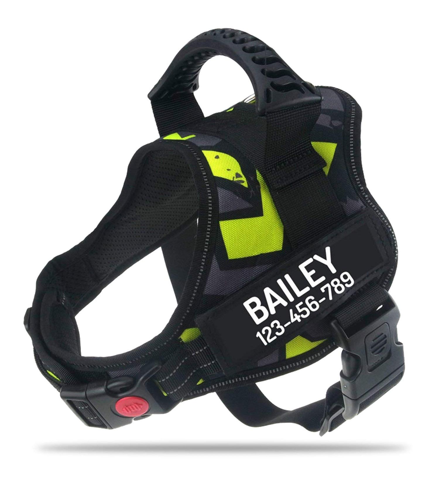 Pawpawify Personalized Dog Harness Anti-Pull Durable XL (32-44in) for Training & Walking Green Doodle - Buy Online on GoSupps.com
