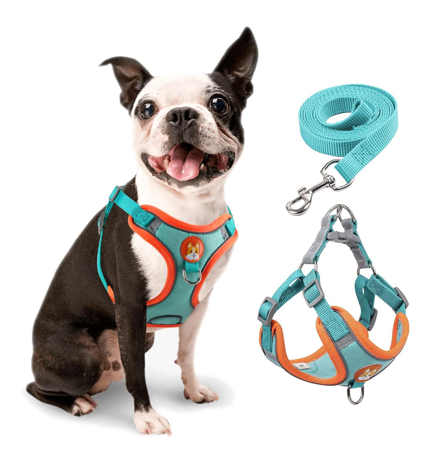 Rennaio No Pull Dog Harness & Leash Set - Adjustable Ultra Comfortable for Small & Medium Dogs | Seeblau M - Buy Online on GoSupps.com