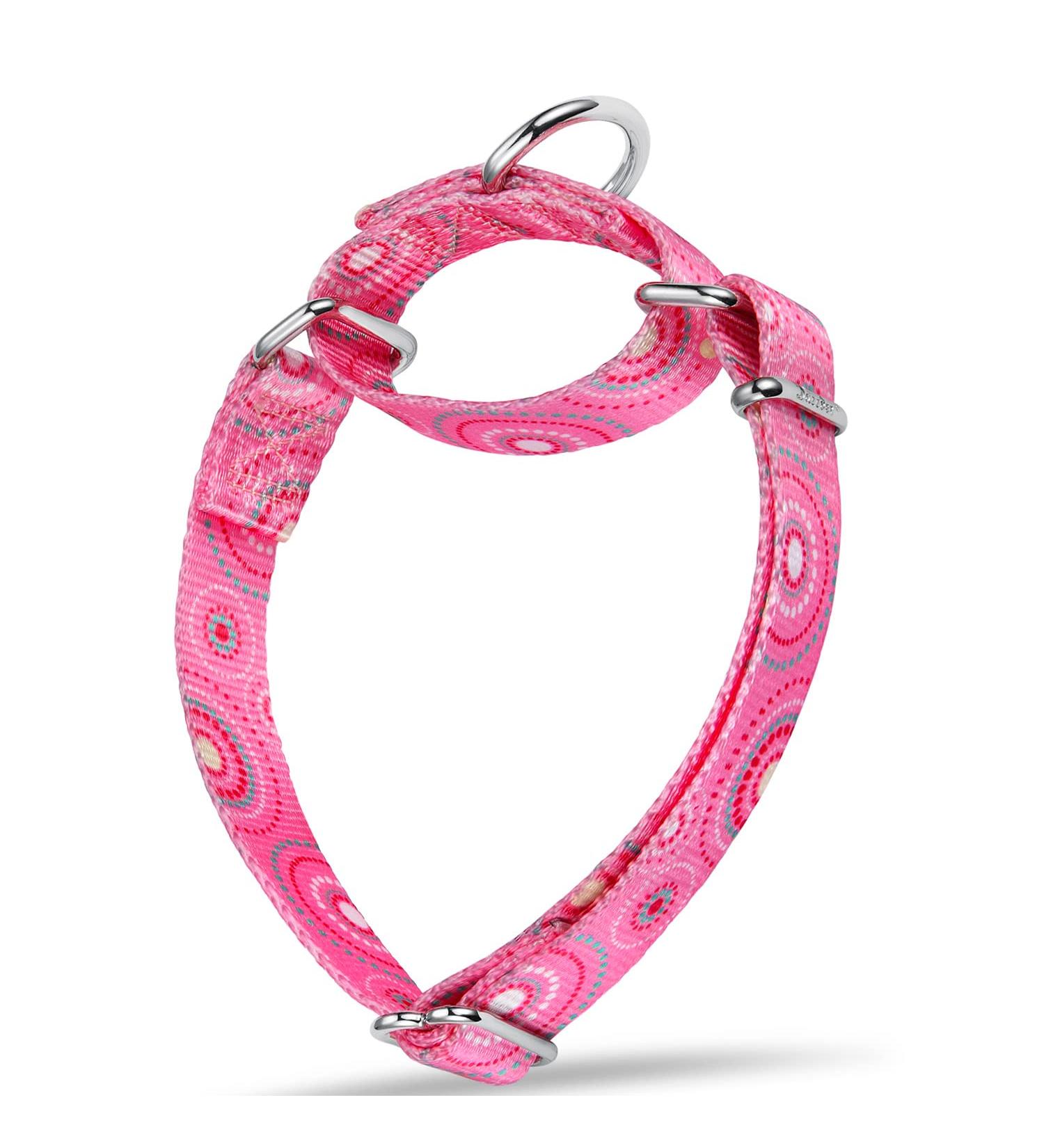 Dazzber Martingale Collar for Small Dogs - No Pull Anti-Escape Adjustable 20.3-27.9 cm Pink Fireworks Design - Buy Online on GoSupps.com
