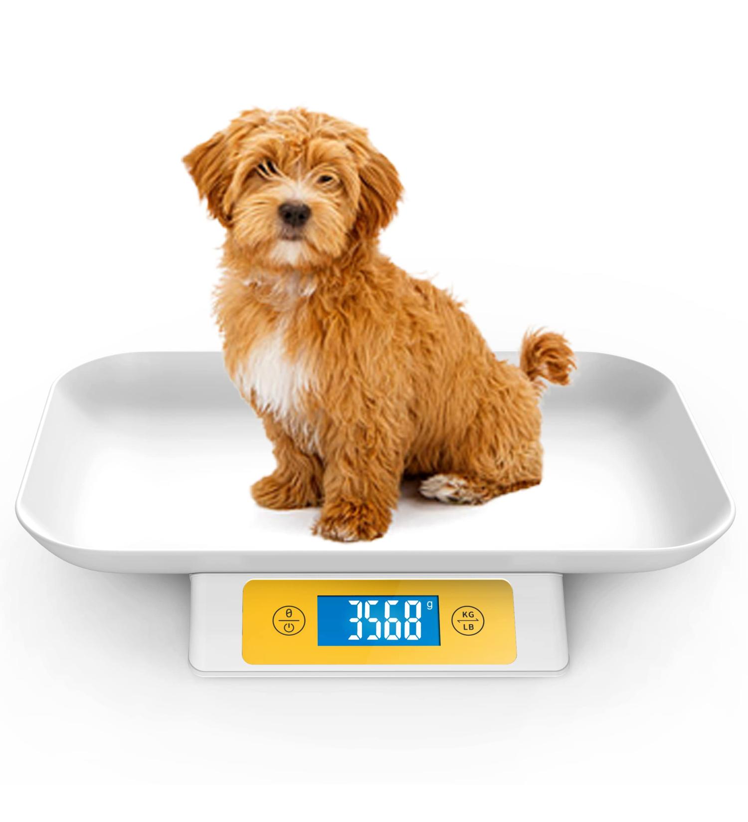 Digital Pet Scale for Cats and Small Animals | 33 lbs Capacity | Removable Tray 13.4 x 9.5 Inch | Puppy Whelping Supplies | Yellow - Buy Online on GoSupps.com