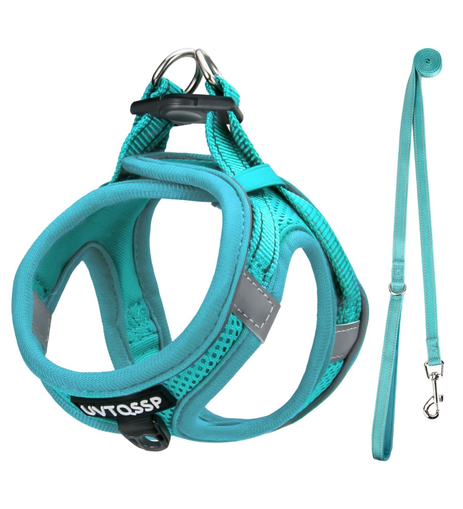 UVTQSSP Dog Harness for Small Dogs - Padded with Leash Lightweight & Adjustable Puppy Harness in Light Blue - Buy Online on GoSupps.com