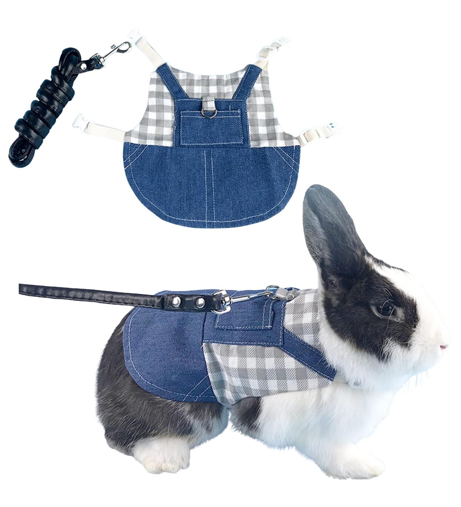 Adjustable Soft Rabbit Dishes & Leash Set - Perfect for Rabbits Cats & Guinea Pigs (Size L Blue) | International Shipping Available - Buy Online on GoSupps.com