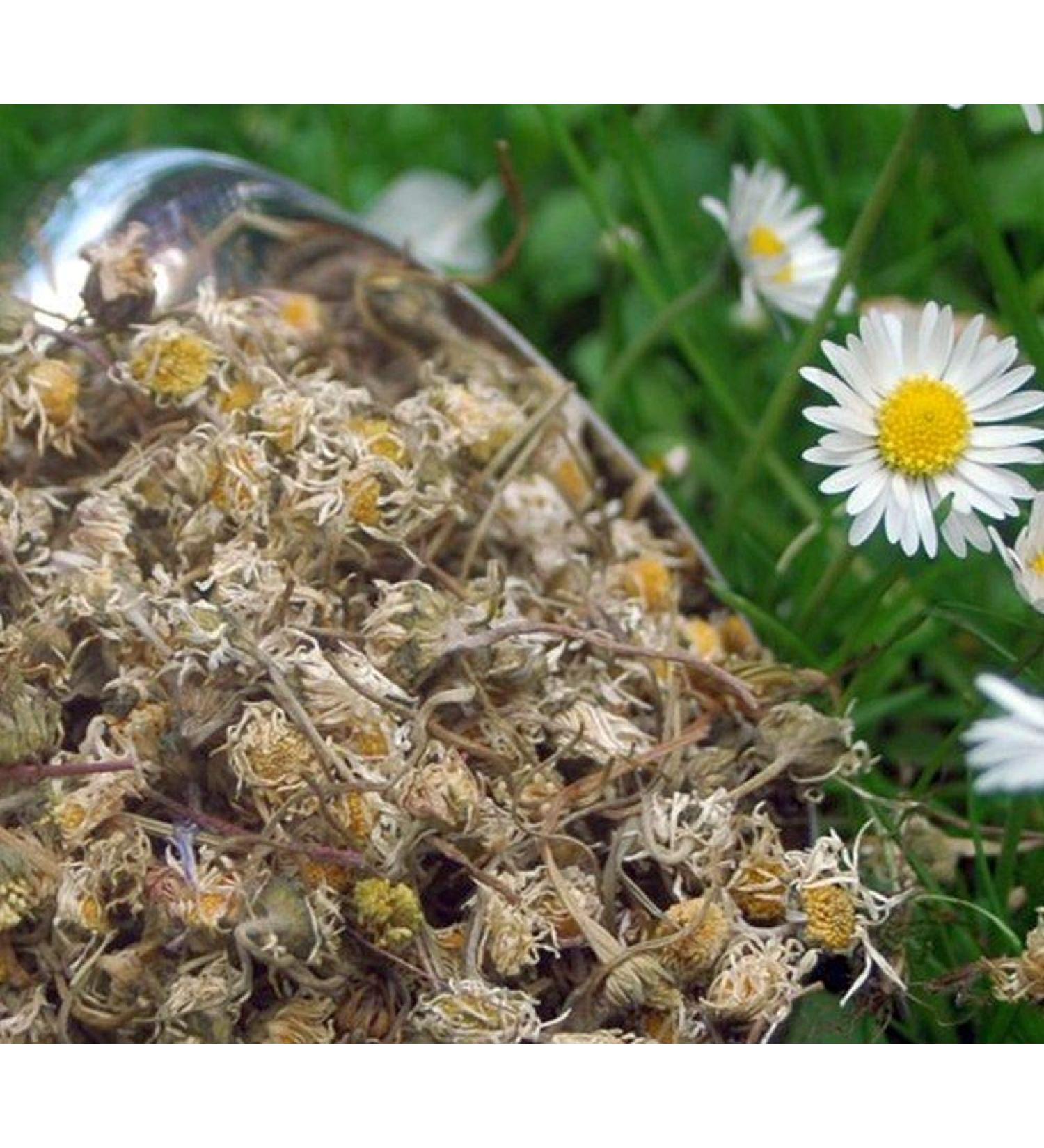 Krauterino24 Krauterino24 - Whole daisies (250 g)