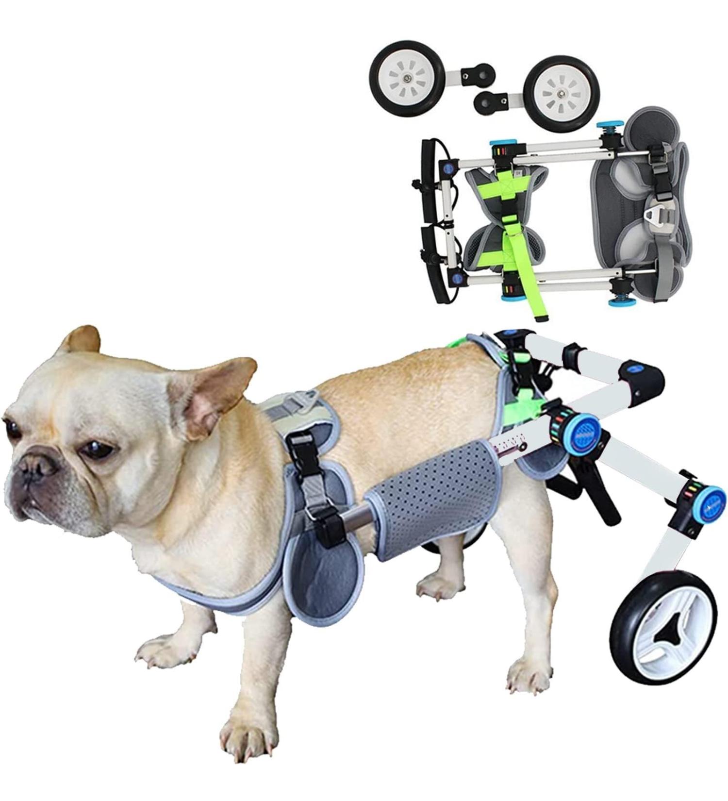 Wheelchair for Dogs Back Legs Adjustable Dog Wheelchair Handicapped Hind Legs Pet Rehabilitation Cart Portable Dog Mobility Wheelchair for Small Cats/Dogs (C : White S : X-Small) X-Small White - Buy Online on GoSupps.com