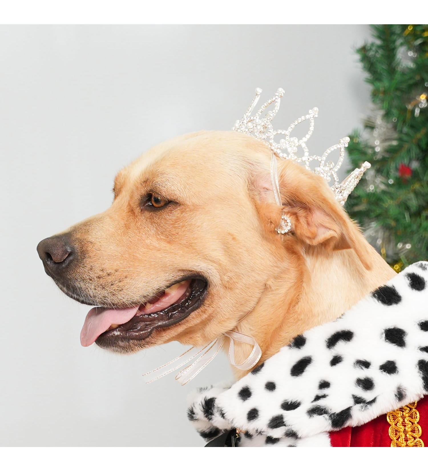 Shop Lovelyshop Royal Bengal Tiger Diamond & Pearl Crown for Dogs & Cats - Silver XL Hair Accessory - Buy Online on GoSupps.com