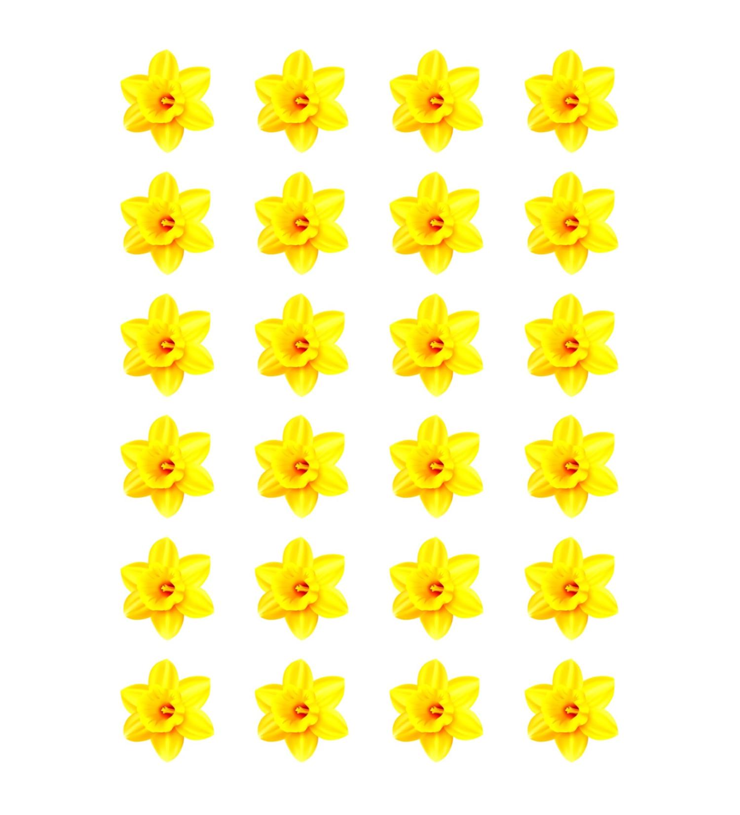 24 x Daffodil Flower Edible Wafer or Icing Cupcake Toppers Fun Spring Party Cake Decorations Perfect For Brownies Cookies Muffins & More! (Premium Icing Sheet)