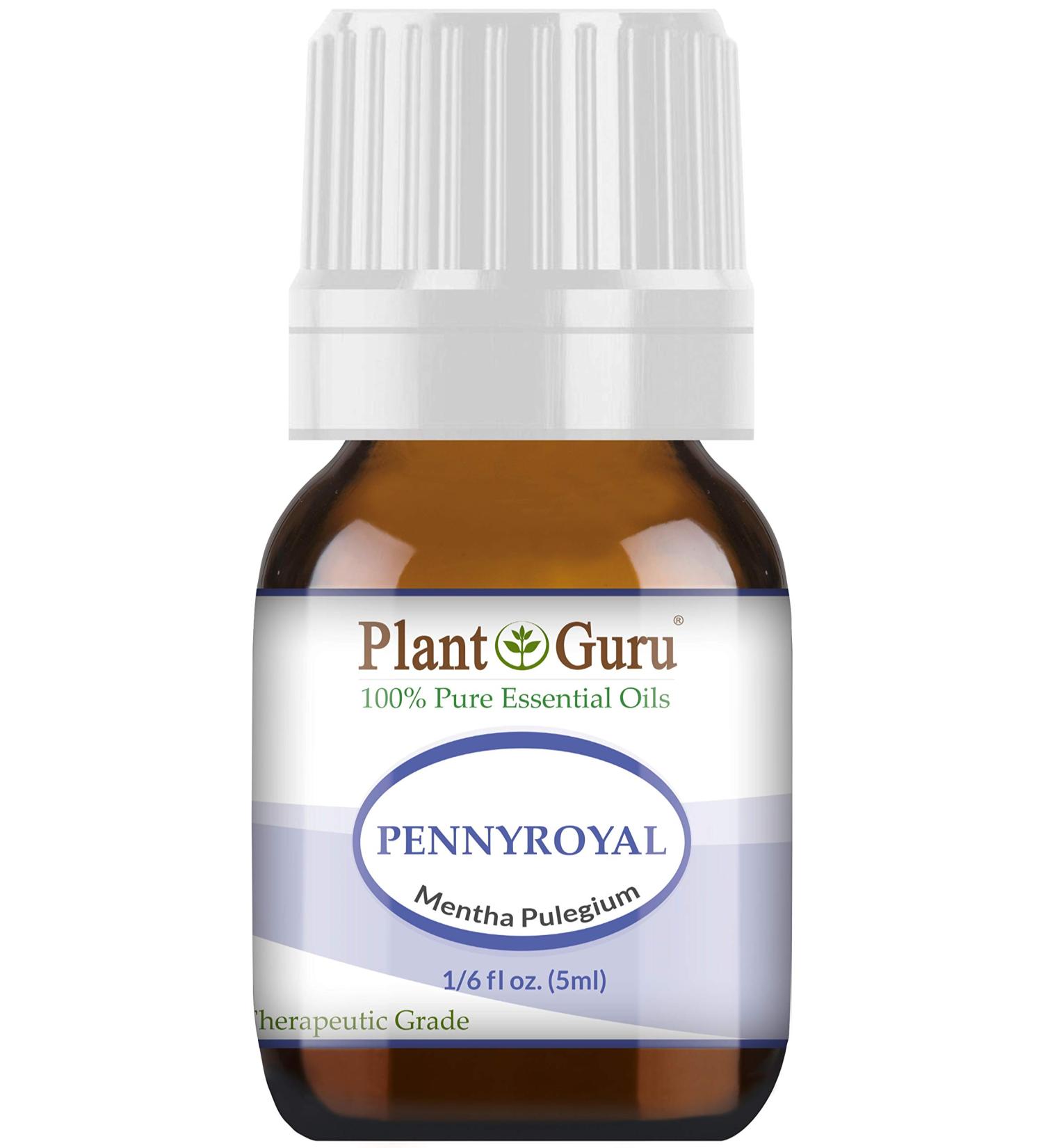 Pennyroyal Essential Oil 5 ml 100% Pure Undiluted Therapeutic Grade.