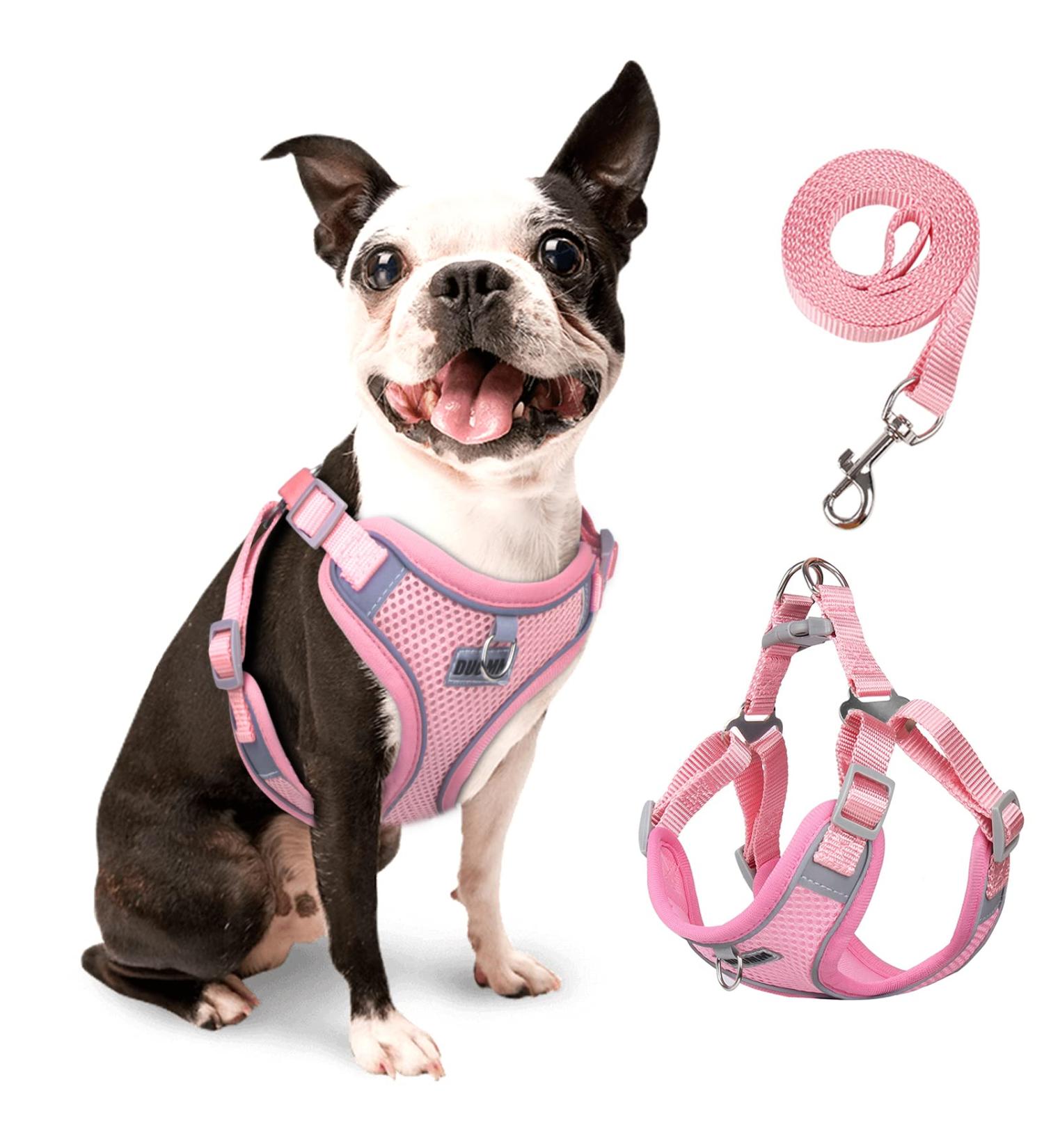 Rennaio No Pull Dog Harness & Leash Set - Adjustable & Ultra Breathable Padded Chest for Small/Medium Dogs - Pink M - Buy Online on GoSupps.com