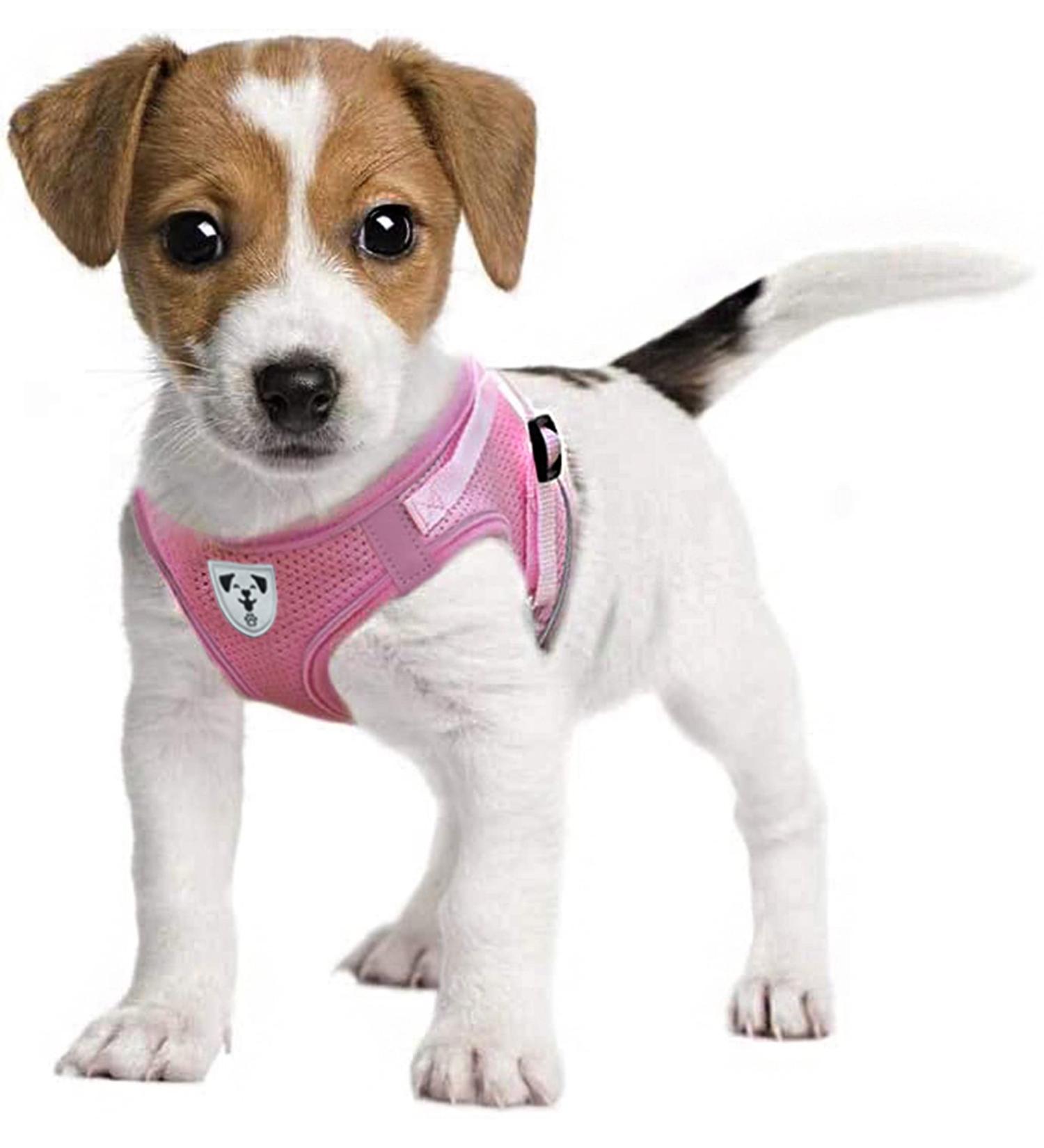 Pet's Playground XS Pink Small Dog Harness for Puppies - UK | Dog Harness for Small Dogs - Buy Online on GoSupps.com