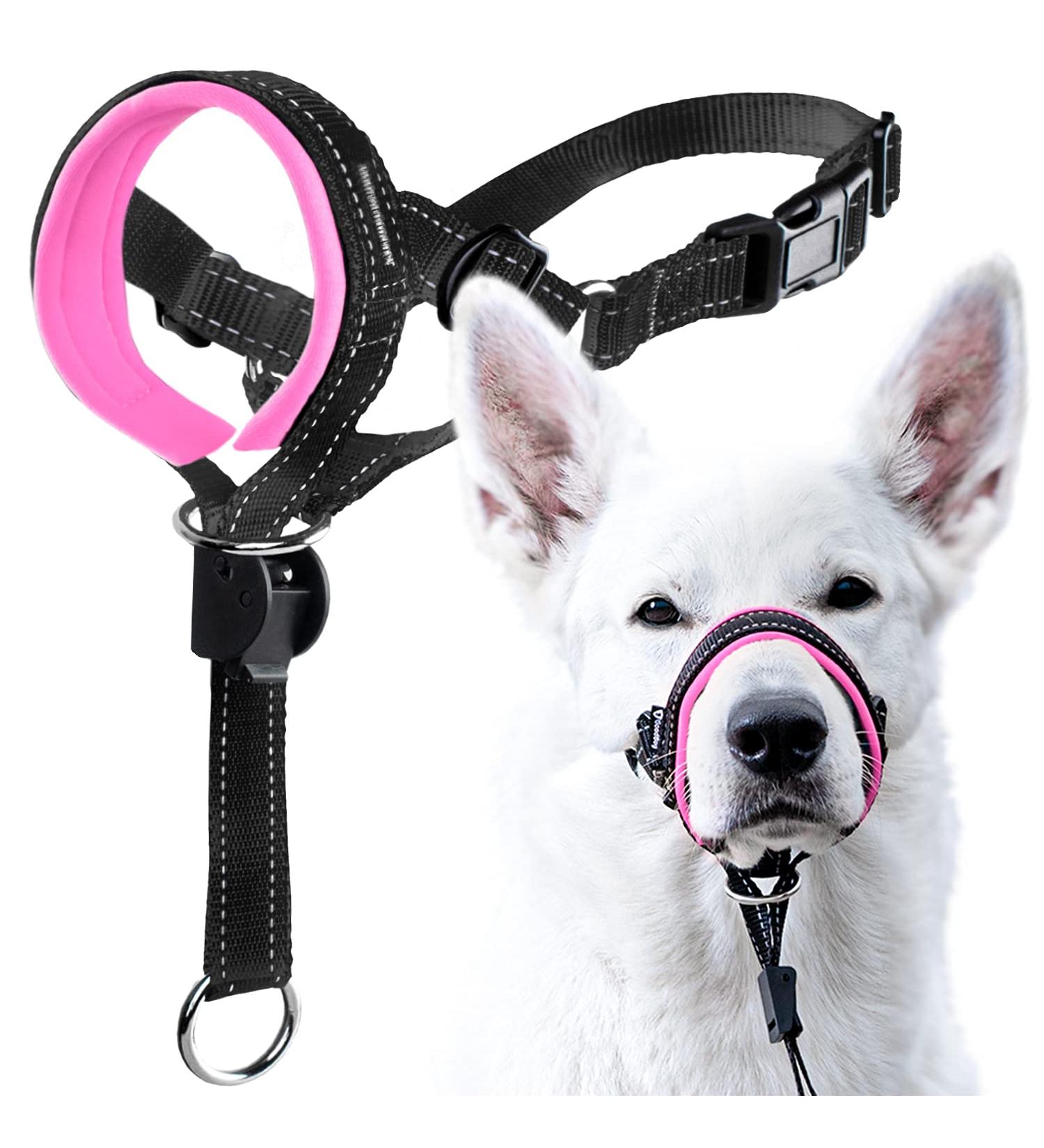 Goodboy Dog Halter with Seat Belt - Padded Leash No Pull Harness for Small Medium & Large Dogs - Size 3 (Pink) - Durable Nylon - Shop Now! - Buy Online on GoSupps.com