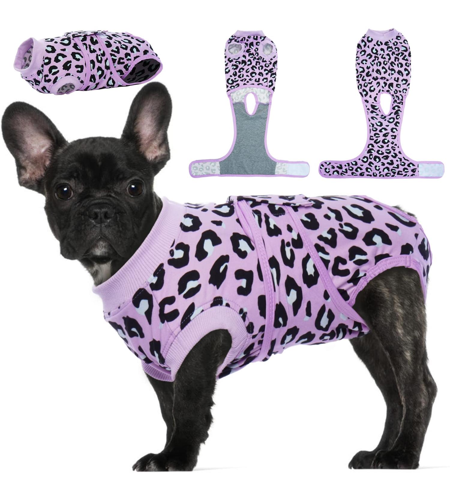 Kuoser Dog Body for Post-Op Recovery | Breathable Anti-Lick Design for Male & Female Dogs | E-Collar Alternative | Purple Dog Suit - Buy Online on GoSupps.com