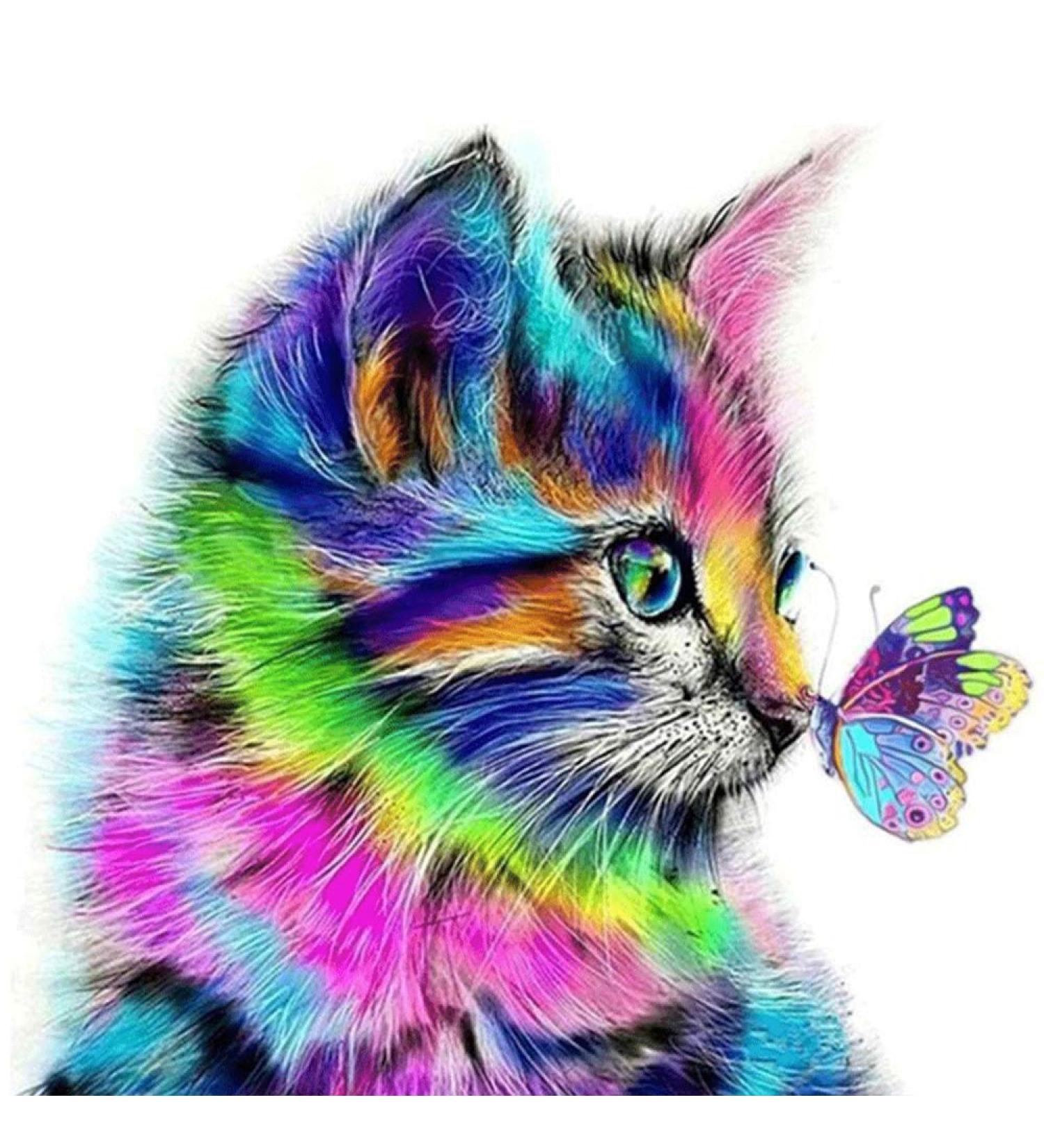 Diamond Painting Kit - Colorful Butterfly Kiss Cat 5D Gem Art Puzzle - 11.8x11.8 inch - DIY Craft Embroidery for Wall Decor - Buy Online on GoSupps.com