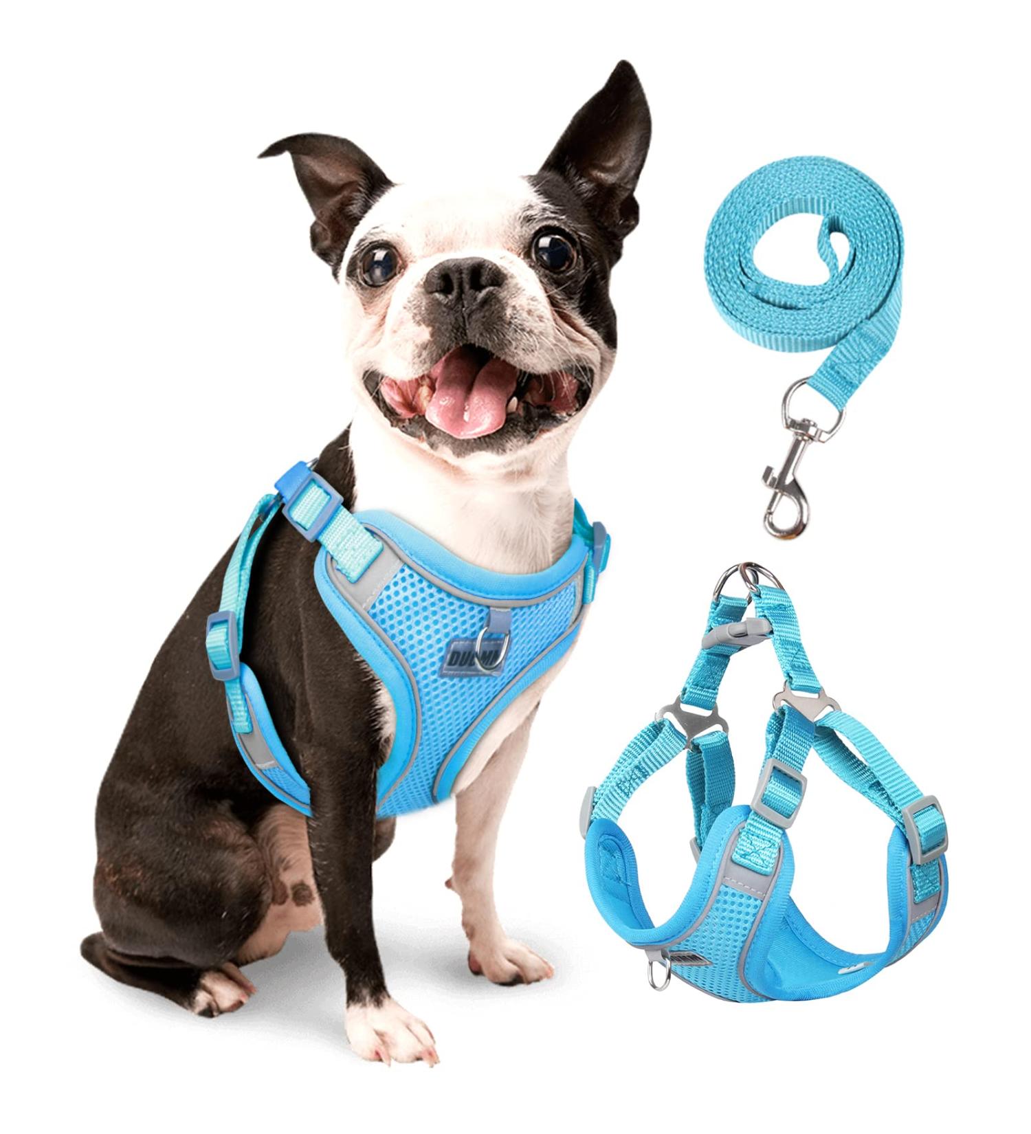 Rennaio No Pull Dog Harness & Leash Set - Adjustable Padded Chest Harness for Small & Medium Dogs - Sky Blue (M) - Breathable Design & Includes Puppy Dishes - Buy Online on GoSupps.com