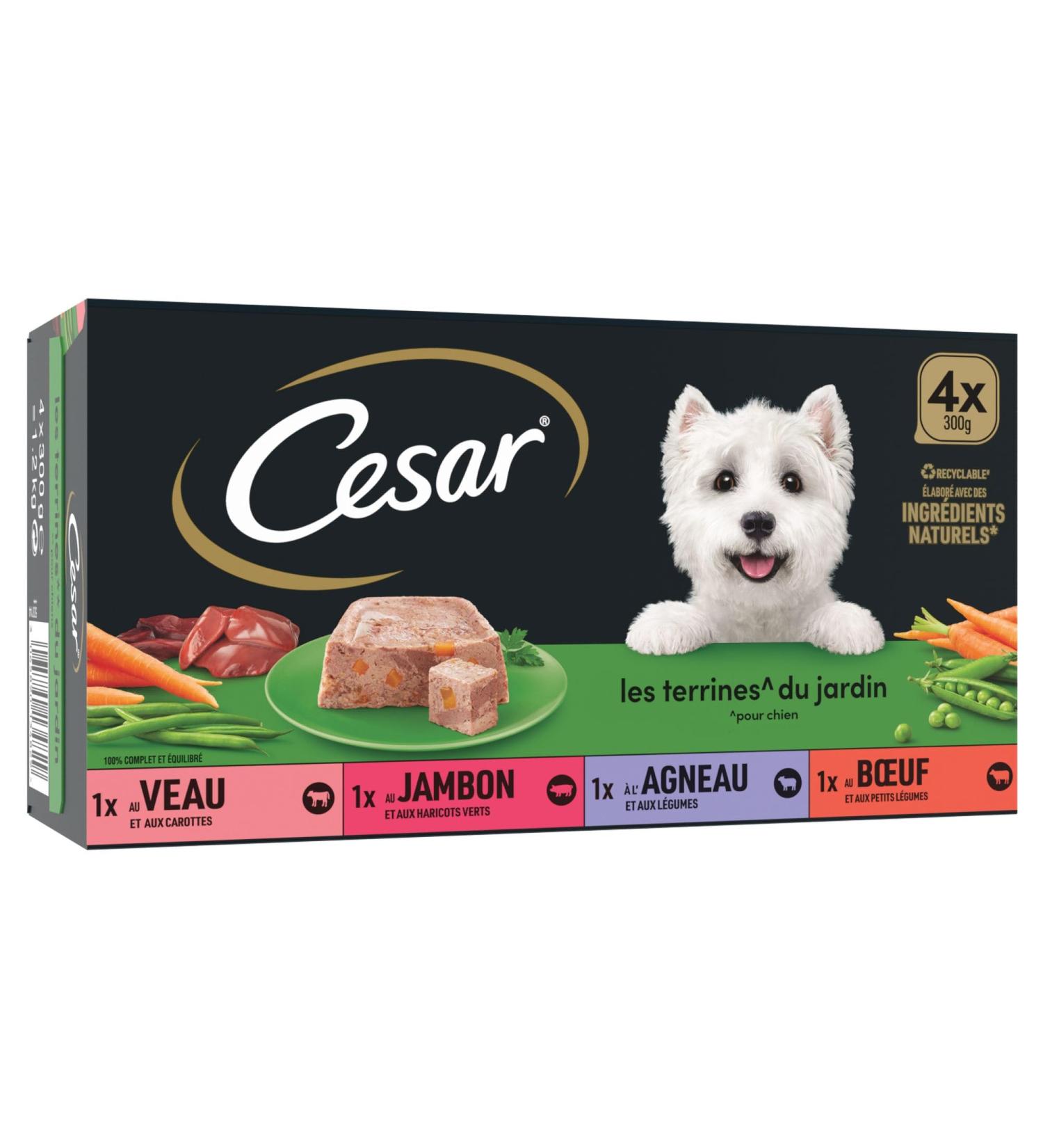 Cesar Barquettes Les Terrines du Jardin Wet food for dogs Meat with vegetables Pack of 16 trays x 300 g - Buy Online on GoSupps.com