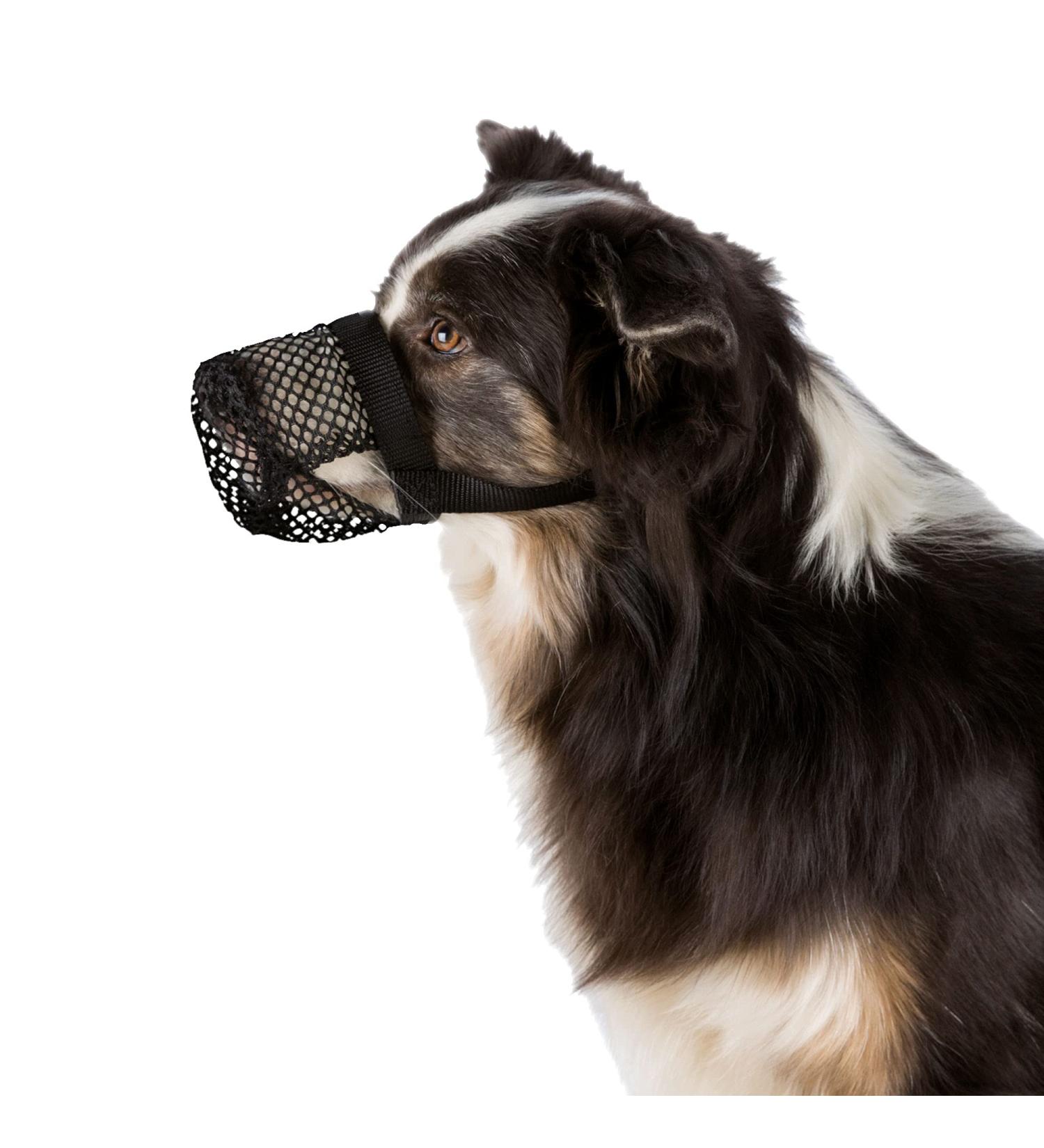 TRIXIE Poisoned Bait Protection Polyester - Size S Black | International Shipping Available - Buy Online on GoSupps.com