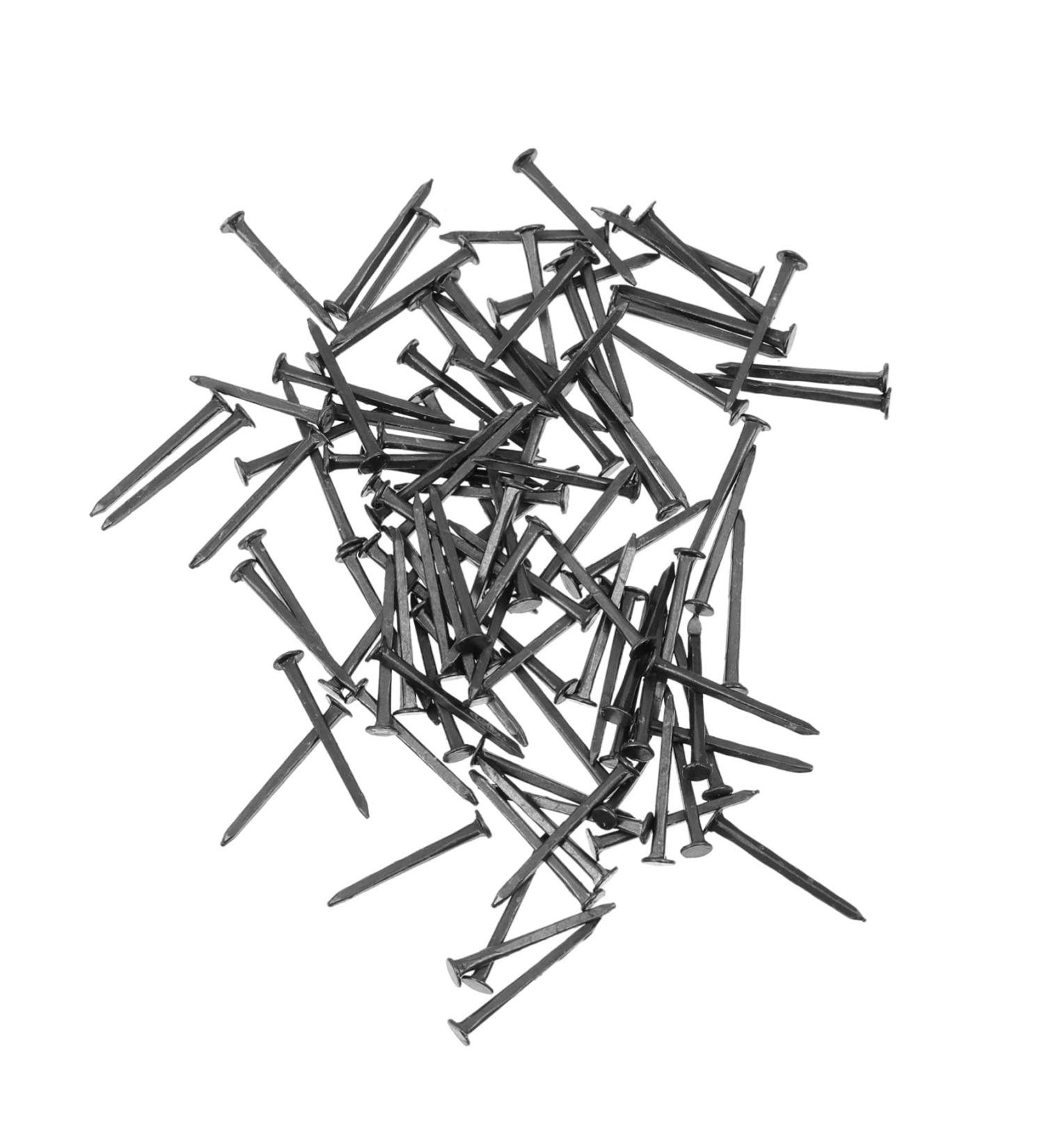 ULTECHNOVO 1 Shoe Repair Nails Shoe Nails Hardware Nails Pin Nails Decorative Nails Replacement Shoes Nails Furniture Nails Shoes Nails Repair Miniature Nail Shoe Tacks Boots Iron Heel Black 2.2X0.3cm - Buy Online on GoSupps.com