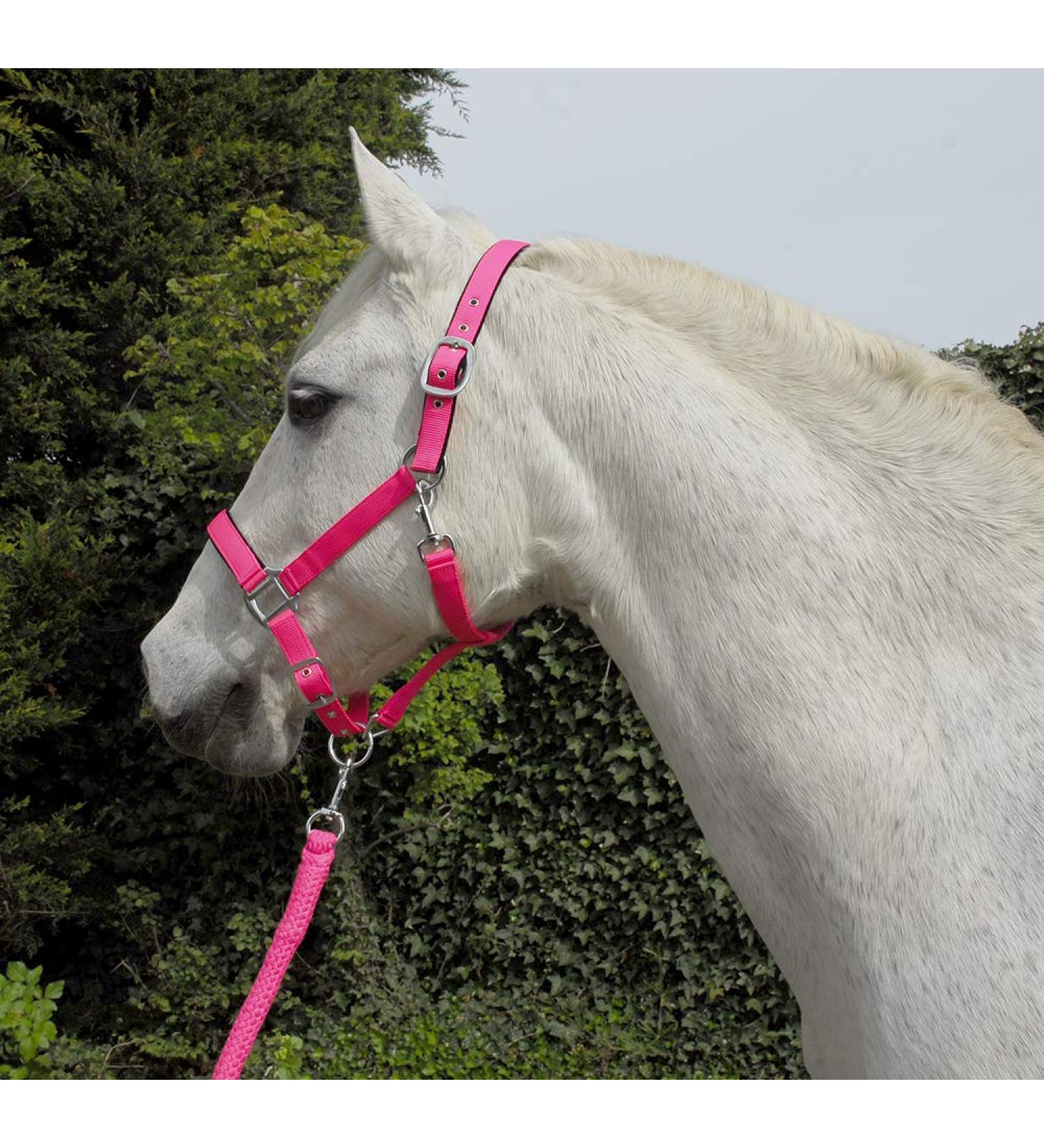 Rhinegold Carnival Headcollar & Matching Rope Set Cob Bright Pink