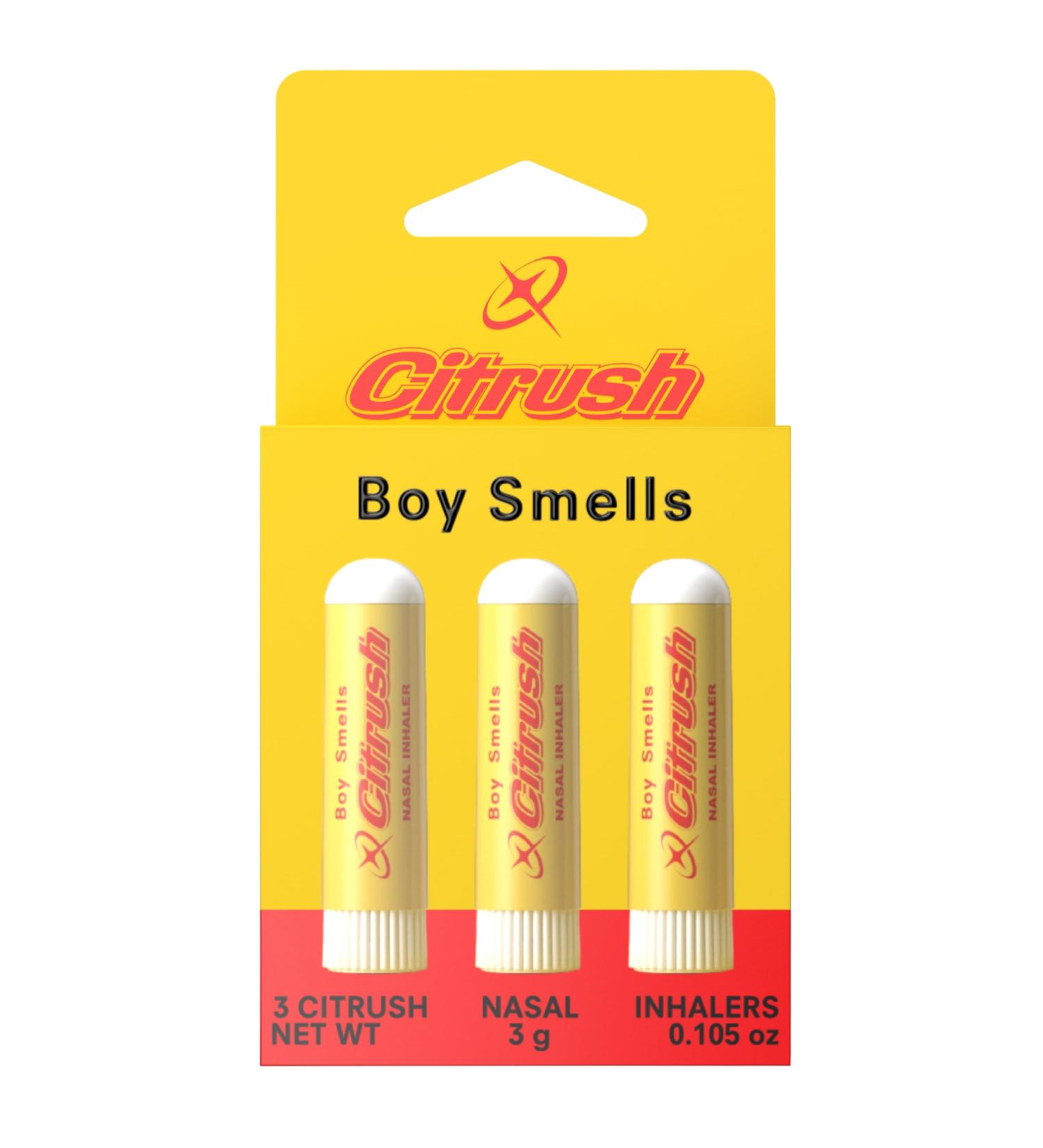 Boy Smells Citrus Sniffer Nasal Stick Menthol Citrus Aroma Inhaler Plant-Based Scent Stick for Daily Refresh Aromatherapy Stick for Adults 3 Pack - Buy Online on GoSupps.com