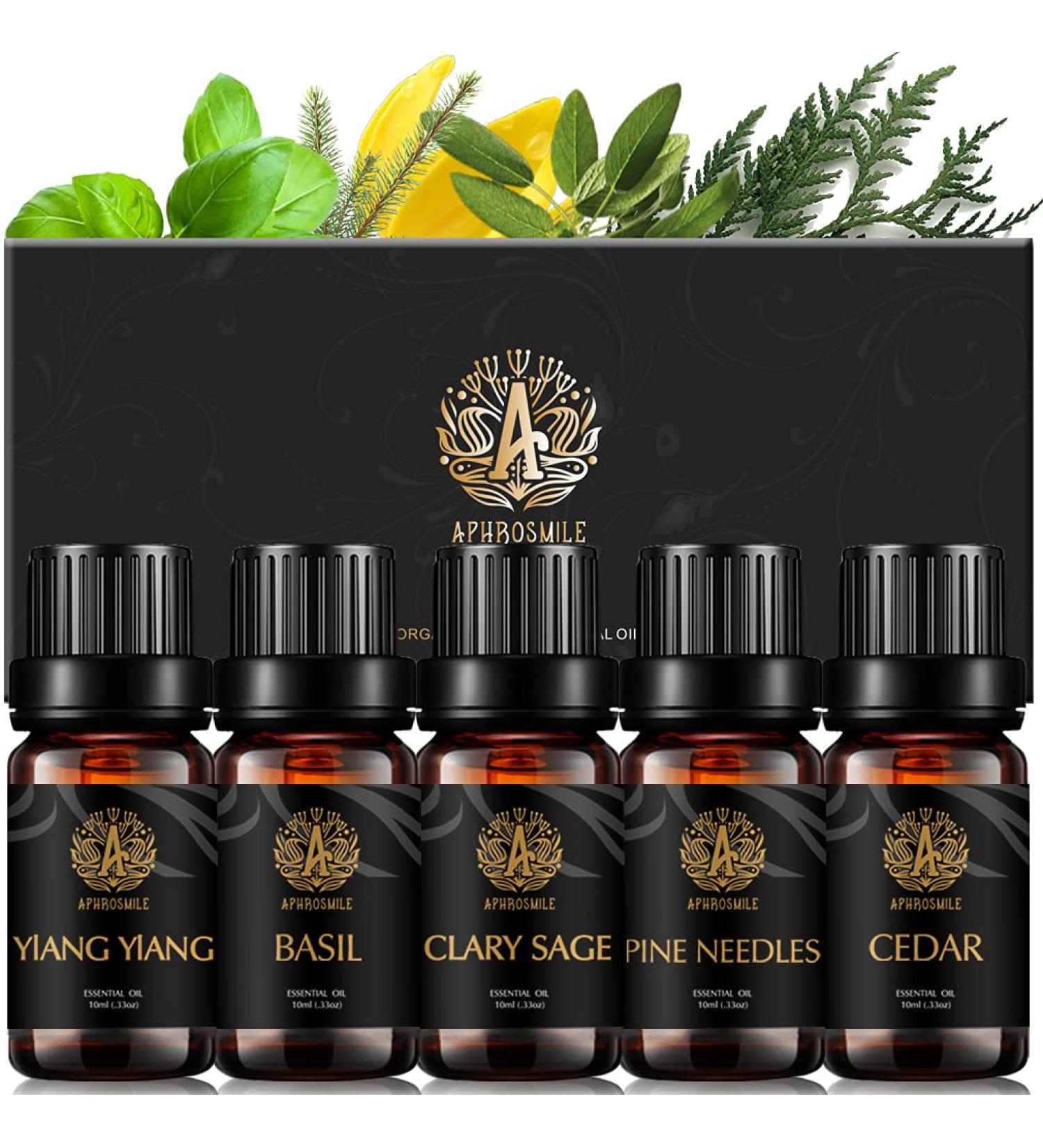 Aromatherapy Cedar Essential Oil Set for Diffuser 100% Pure Ylang Ylang Essential Oil Kit for Humidifier 5x10ml Therapeutic Grade Basil Oil Set-Clary Sage Ylang Ylang Basil Pine Needles Cedar Oils - Buy Online on GoSupps.com