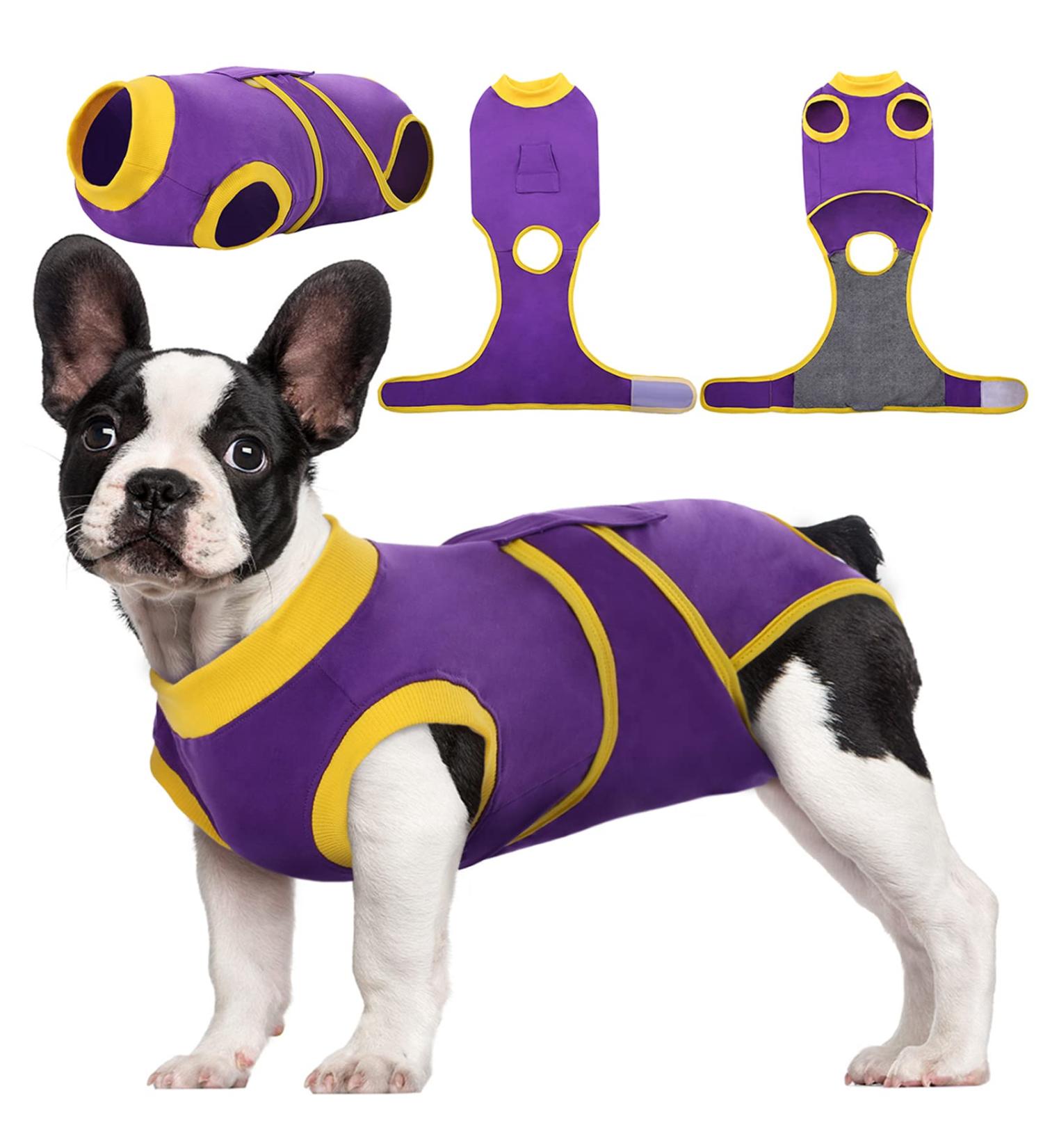 Kuoser Dog Body Suit for Post-Op Recovery - Breathable Leakage Protection & Anti-Licking Design - Purple M (1 Pack) - Buy Online on GoSupps.com