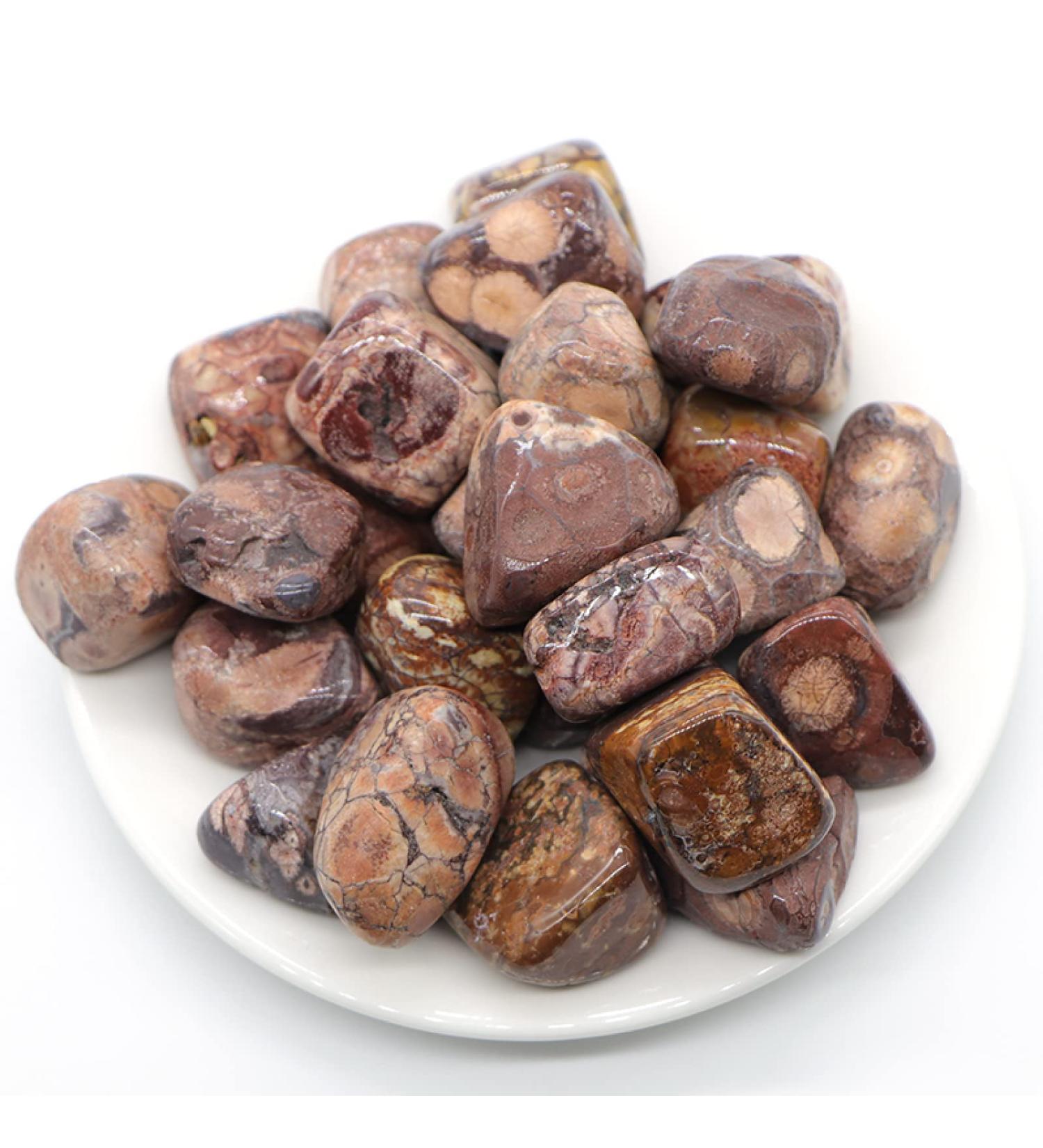 Crystal Hole Natural Leopard Jasper Quartz Crystals and Stones Tumbled Bulk Specime Stones Home Aquarium Decoration Crystal Hole - Buy Online on GoSupps.com