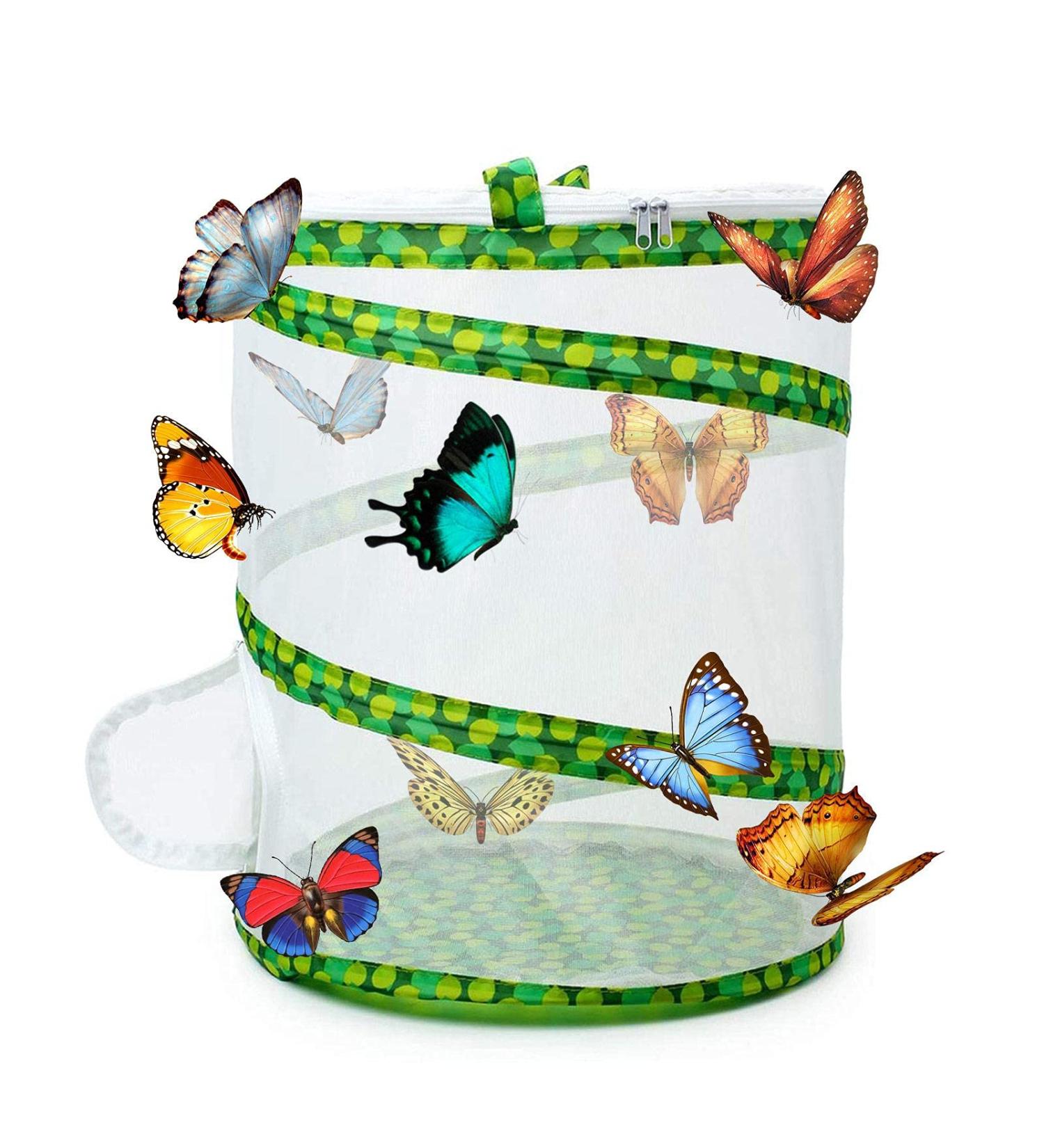 biteatey Butterfly Habitat Collapsible Bug Mesh Cage Insect And Butterfly Habitat Design Collapsible Insect Mesh Cage Breeding Plant Cultivation Greenhouse - Buy Online on GoSupps.com