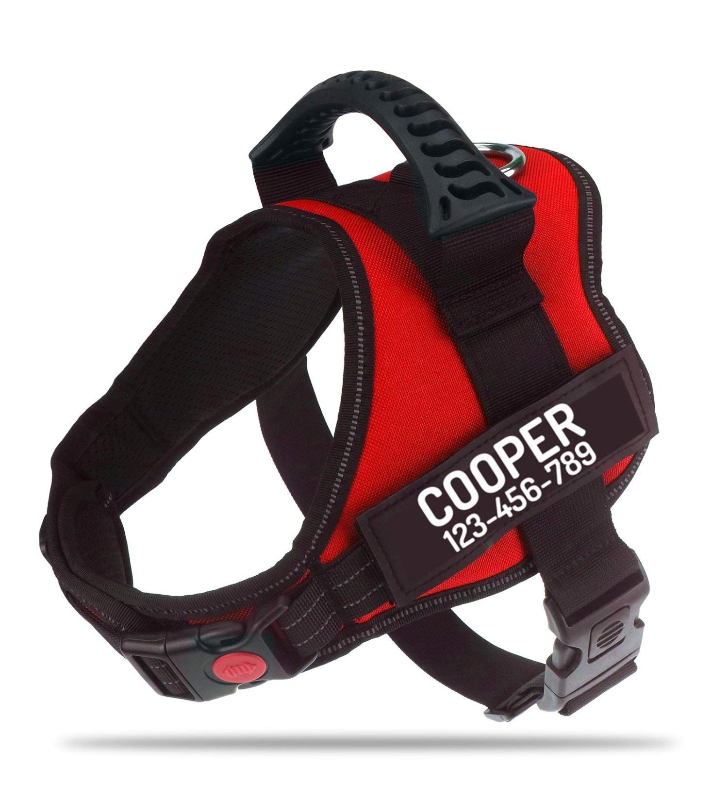 Buy Pawpawify Anti-Pull Dog Harness - Custom Name & Phone Durable XS Red Ideal for Training & Walking - Buy Online on GoSupps.com
