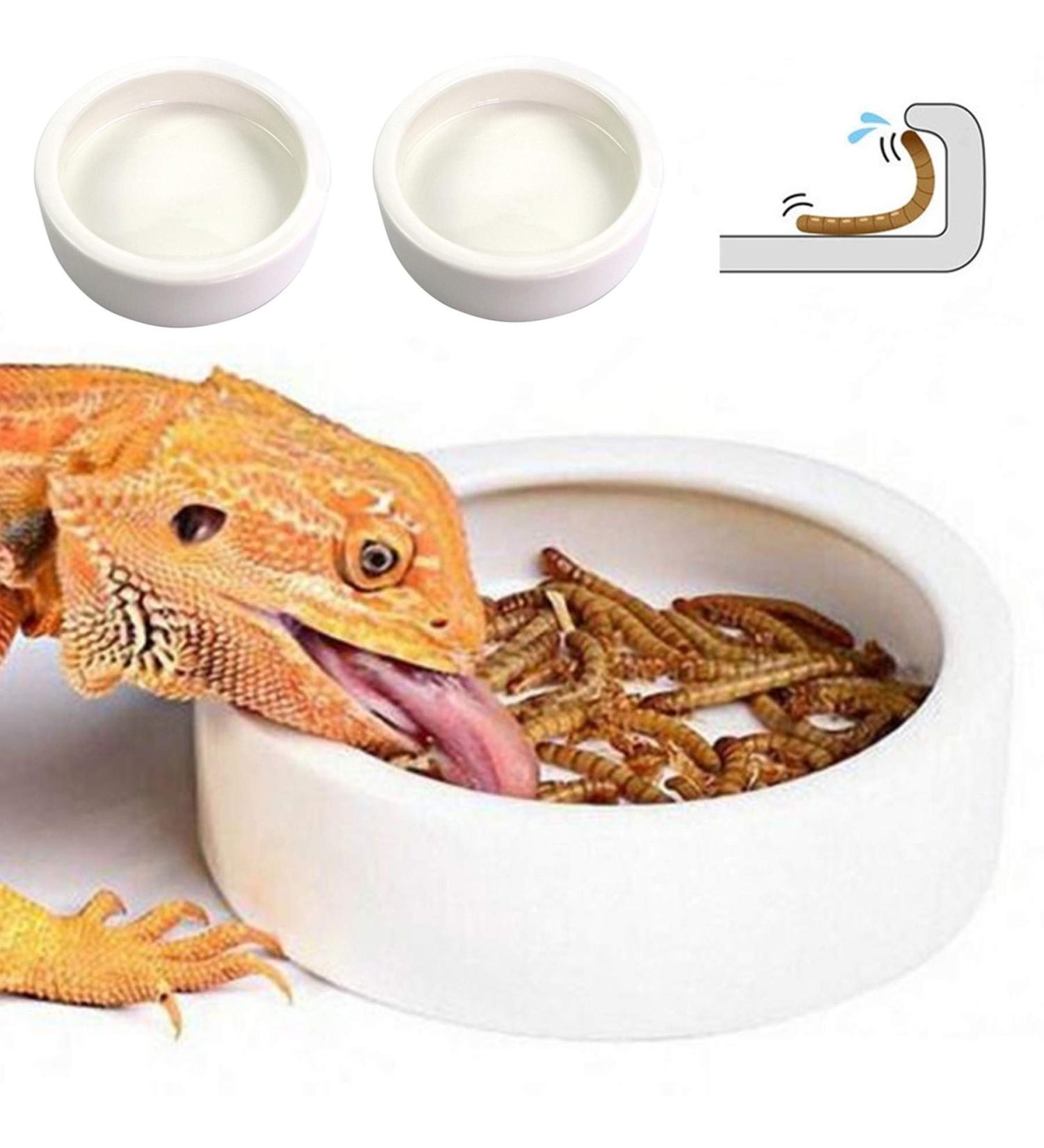 Small Ceramic Reptile Food Dish Bowl & Water Dish Set - 2 Pack | Ideal for Lizards, Geckos, Bearded Dragons, Chameleons, Hermit Crabs | Anti-Escape Design for Mealworms, Crickets, Superworms | 2.75in White - Buy Online on GoSupps.com