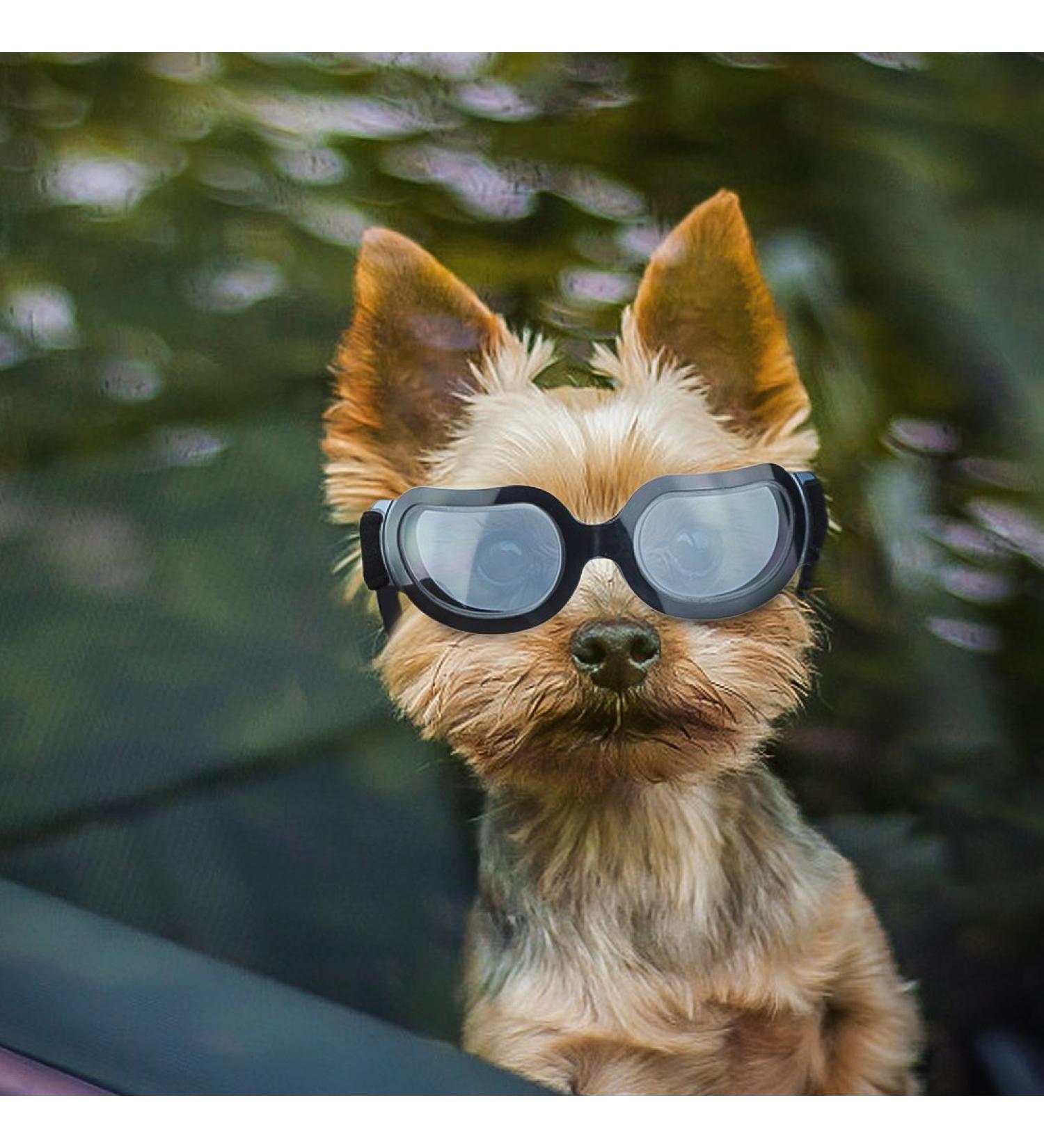 Stylish Dog Sunglasses for Small Dogs - UV Protection Snowproof & Windproof Glasses with Flexible Straps - Cool Black for Puppies & Cats - Buy Online on GoSupps.com