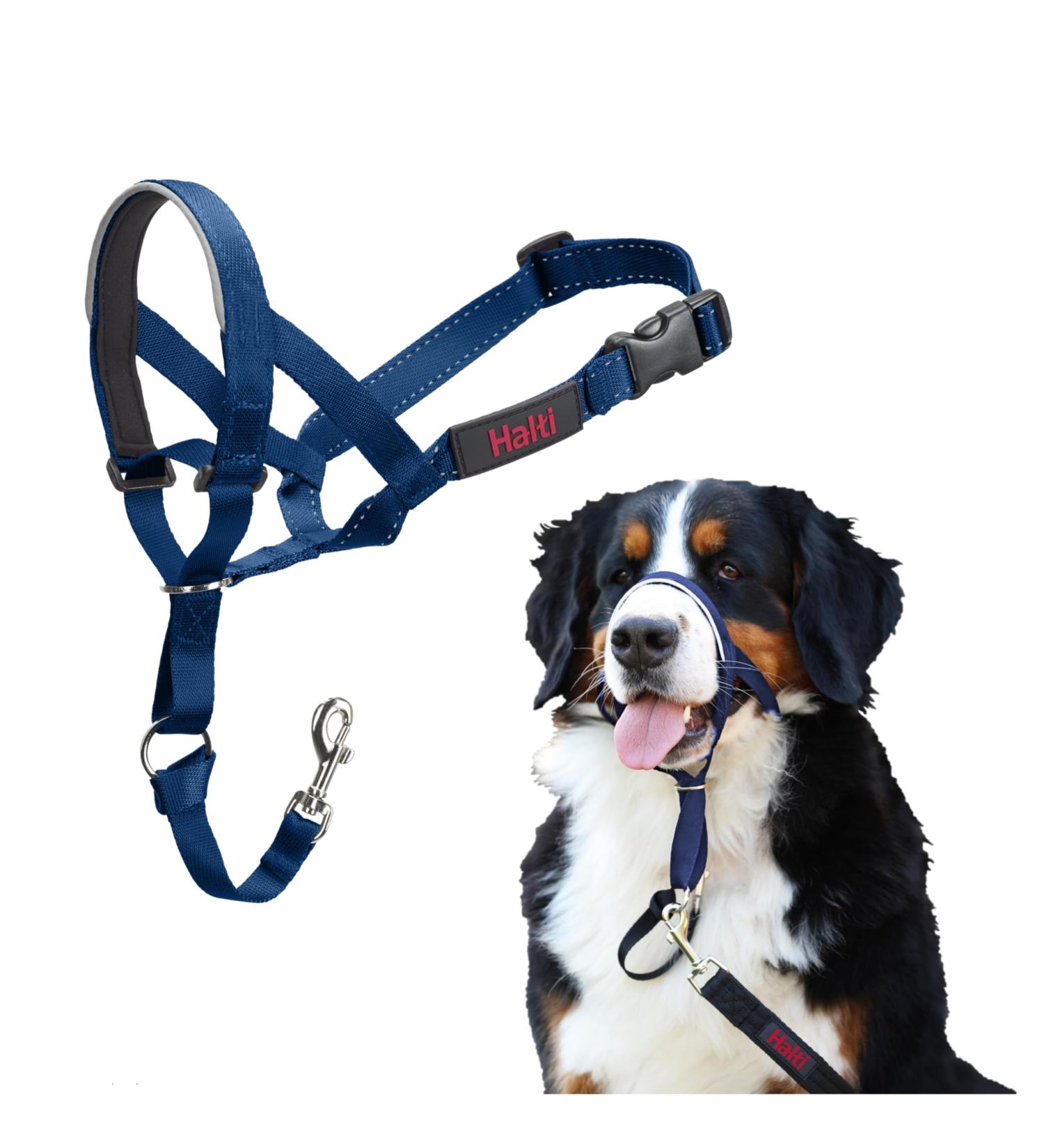 Halti Head Harness for Large Dogs - Stop Leash Pulling Comfortable & Padded Nose Strap Size 4 Cobalt Blue - International Shipping Available - Buy Online on GoSupps.com