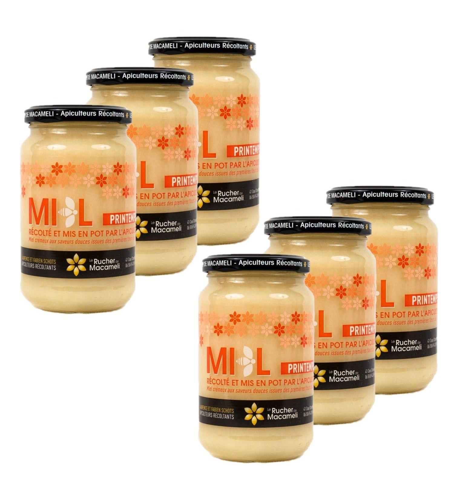 Set of 6 Spring Honey – Monts du Lyonnais – Rhône Alpes – Le Rucher de Macameli – 500 g Pot