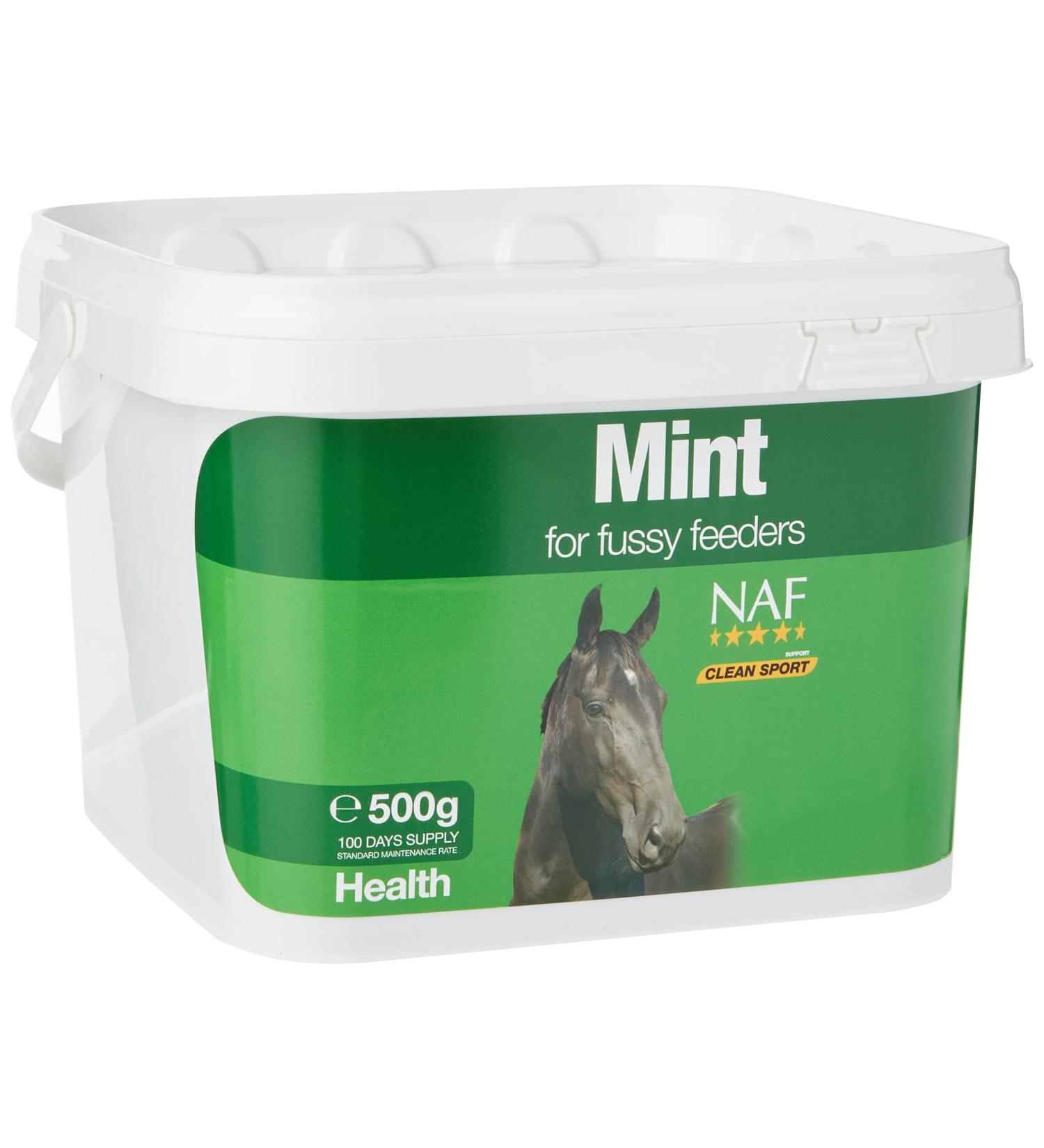 Natural Animal Feeds NAF Mint 500 g (Pack of 1) - Buy Online on GoSupps.com