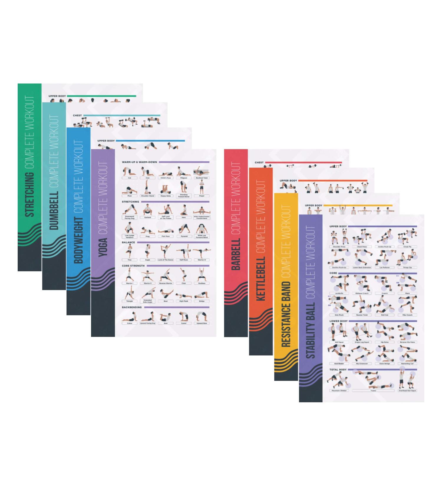 Postermate Professional Fitness Posters - 8 Set (51 x 76 cm) | Diverse Sports Exercises for Home Gym Dumbbells Yoga & More - Perfect for Body Weight Training - Buy Online on GoSupps.com