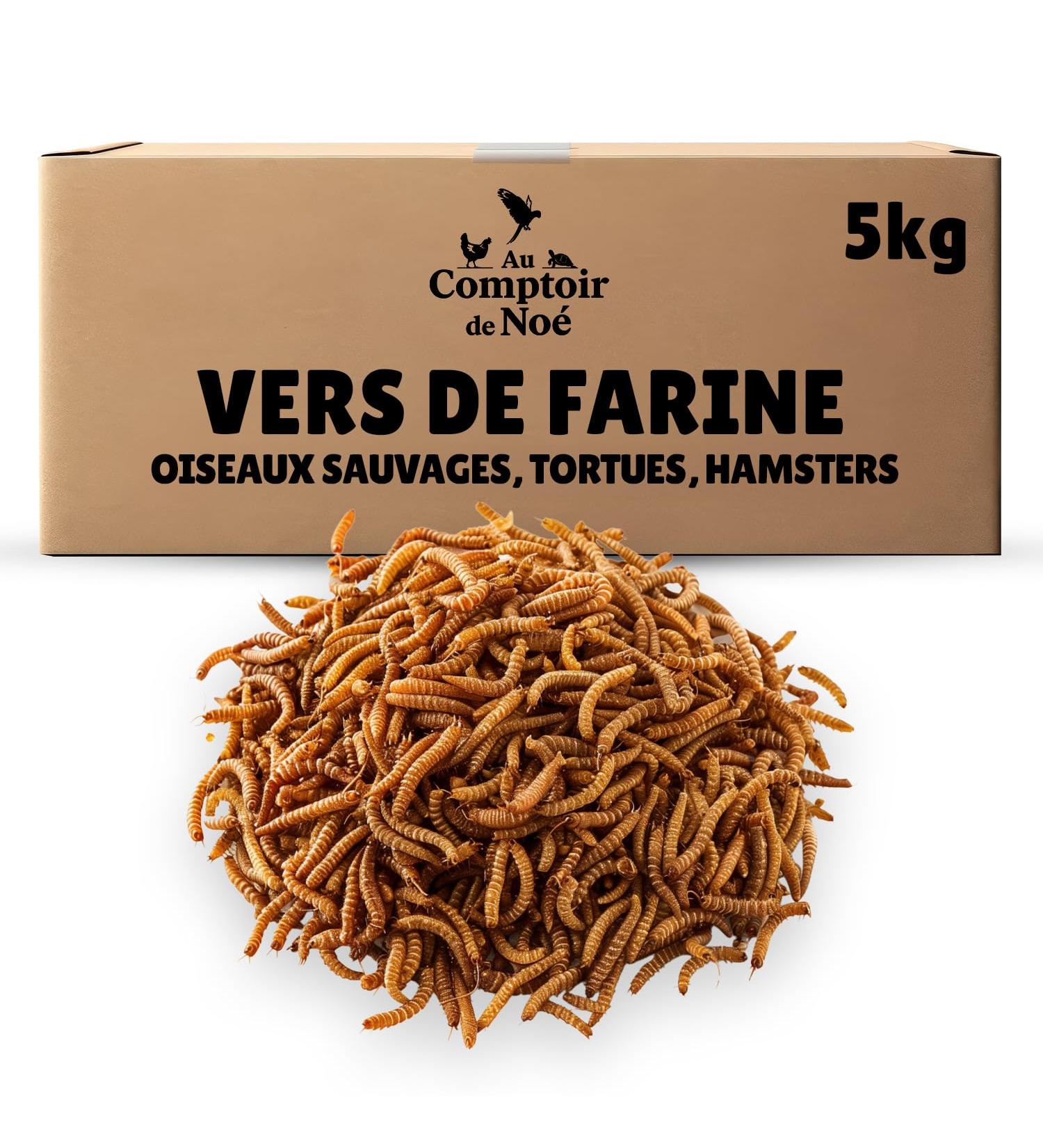 Dried Flour Worms 5 kg Au Comptoir de No 100% Natural Rich in Protein and Good Fats to Fat Flour - Buy Online on GoSupps.com