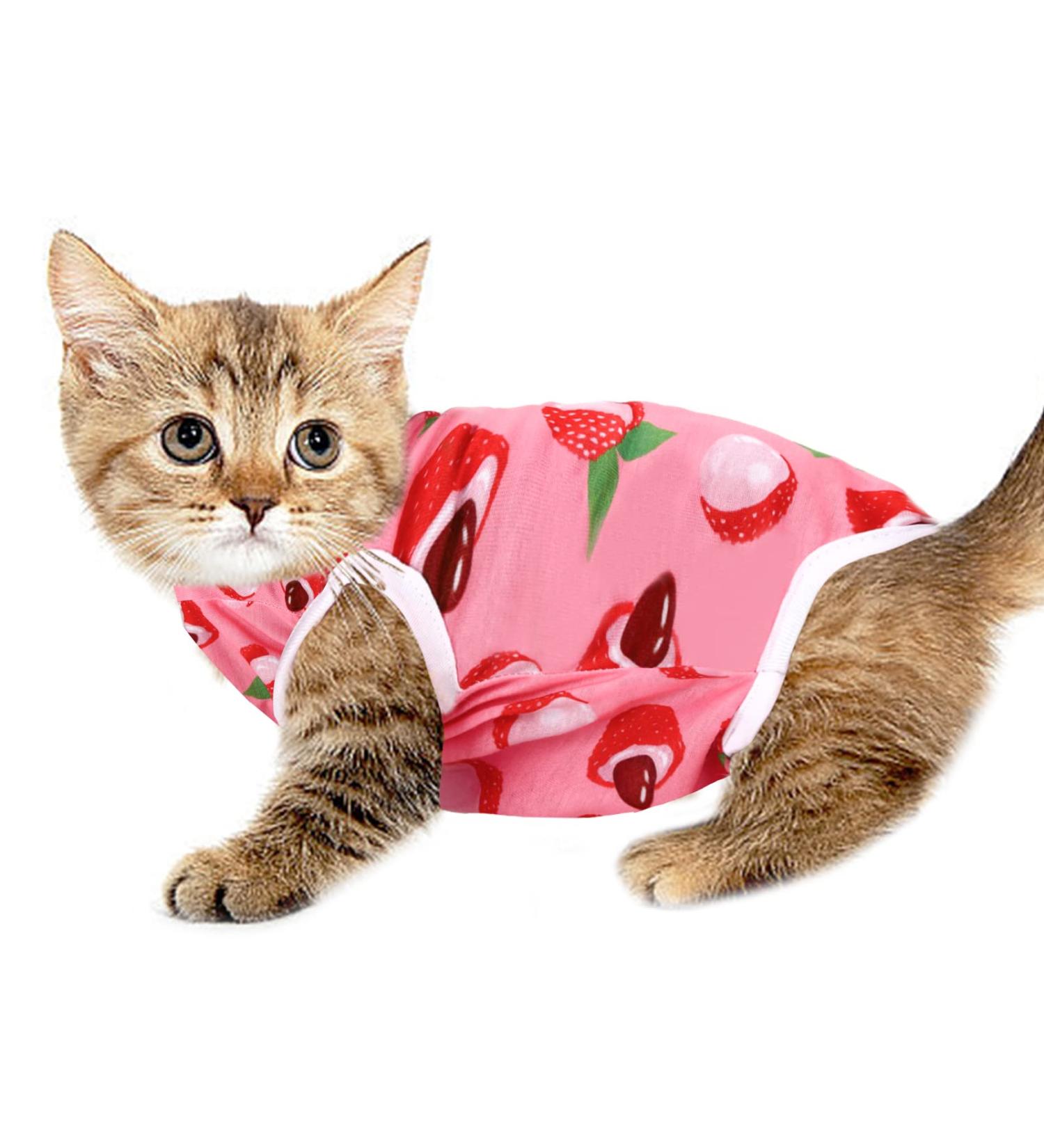 Professional Cat Recovery Suit | Breathable Surgical & E-Collar Alternative for Abdominal Wounds & Skin Diseases | Anti-Licking Regeneration Wear - Buy Online on GoSupps.com