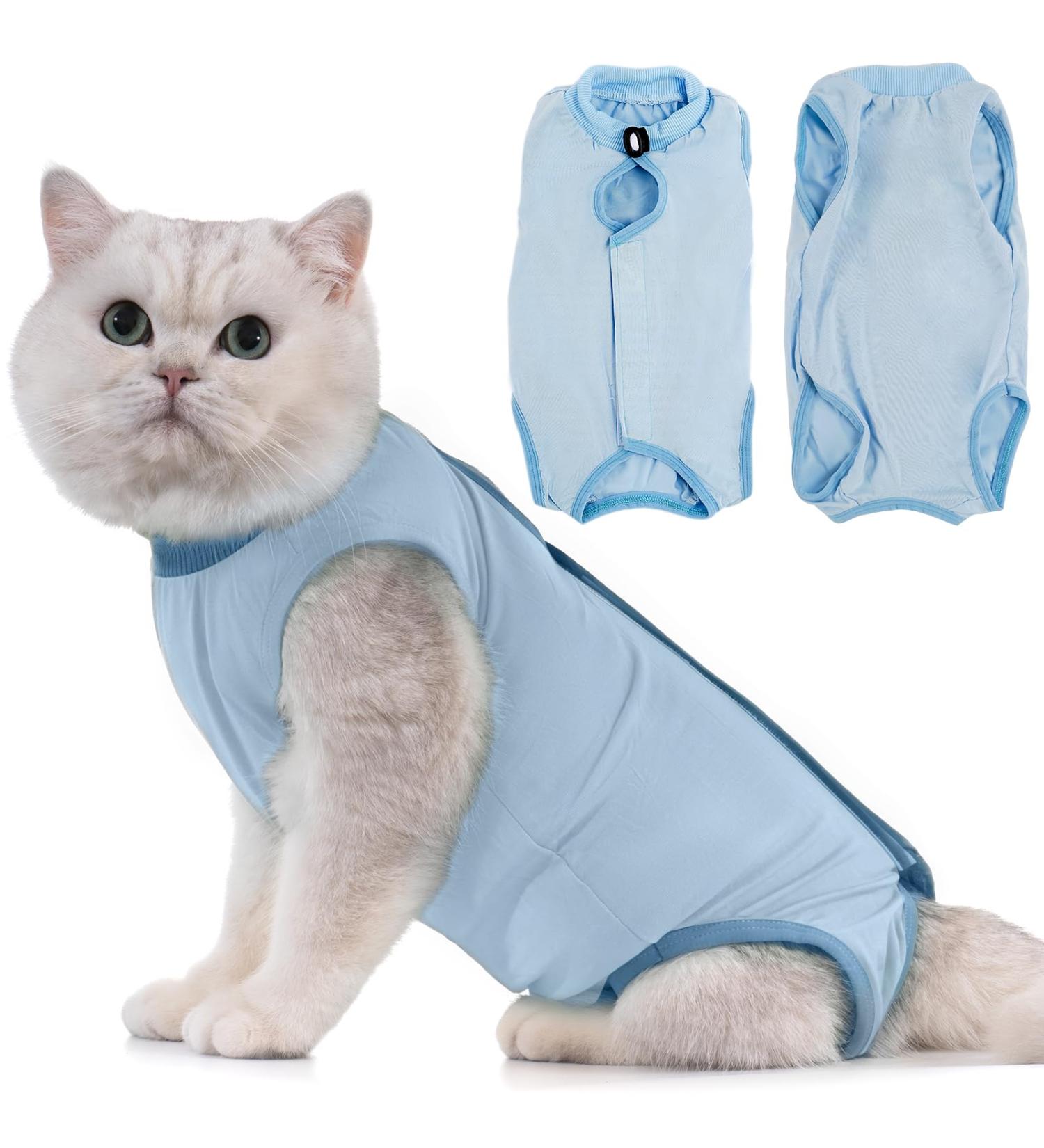 Avont Katzenbody for Cats | Post-Op Recovery Suit | Leak Protection & Abdominal Wound Care | Size M - Blue - Buy Online on GoSupps.com