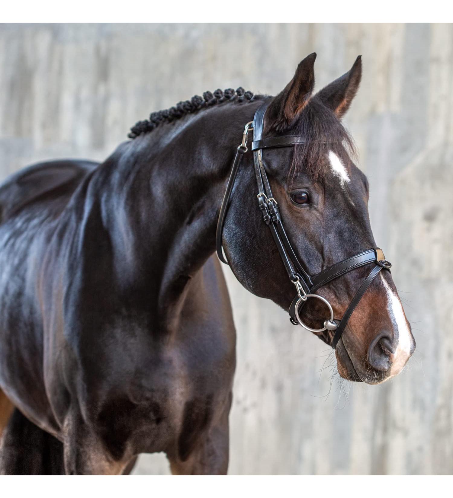 Sunride English Combined Bridle Berlin with Reins - Soft Real Leather Adjustable & Anatomical (Cob Black) | International Shipping Available - Buy Online on GoSupps.com