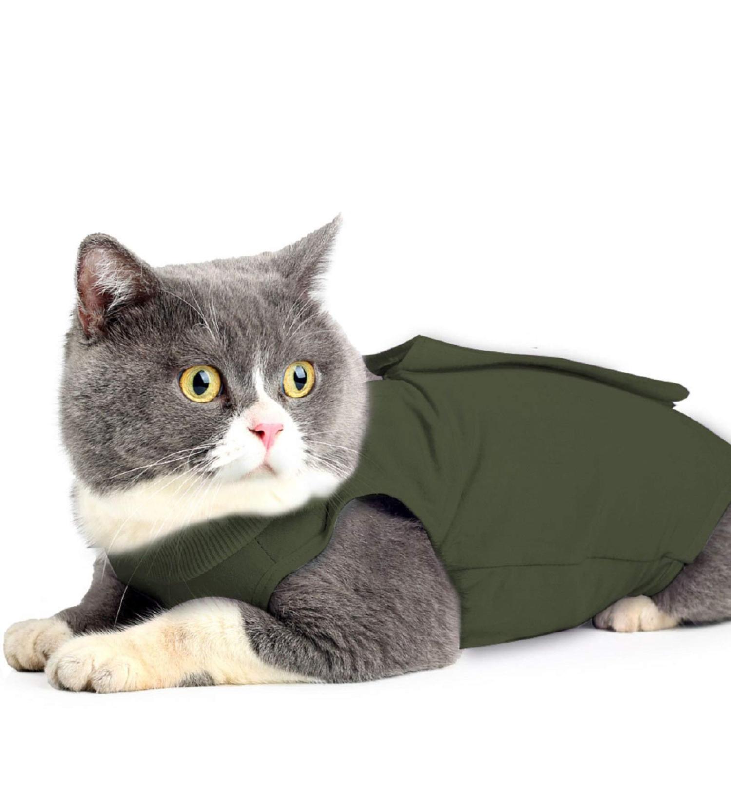 Ouuonno Cat Wound Surgery Recovery Suit - Abdominal Wounds & Skin Disease Pajama Suit E-Collar Alternative for Cats & Dogs | Armygreen Medium - Buy Online on GoSupps.com