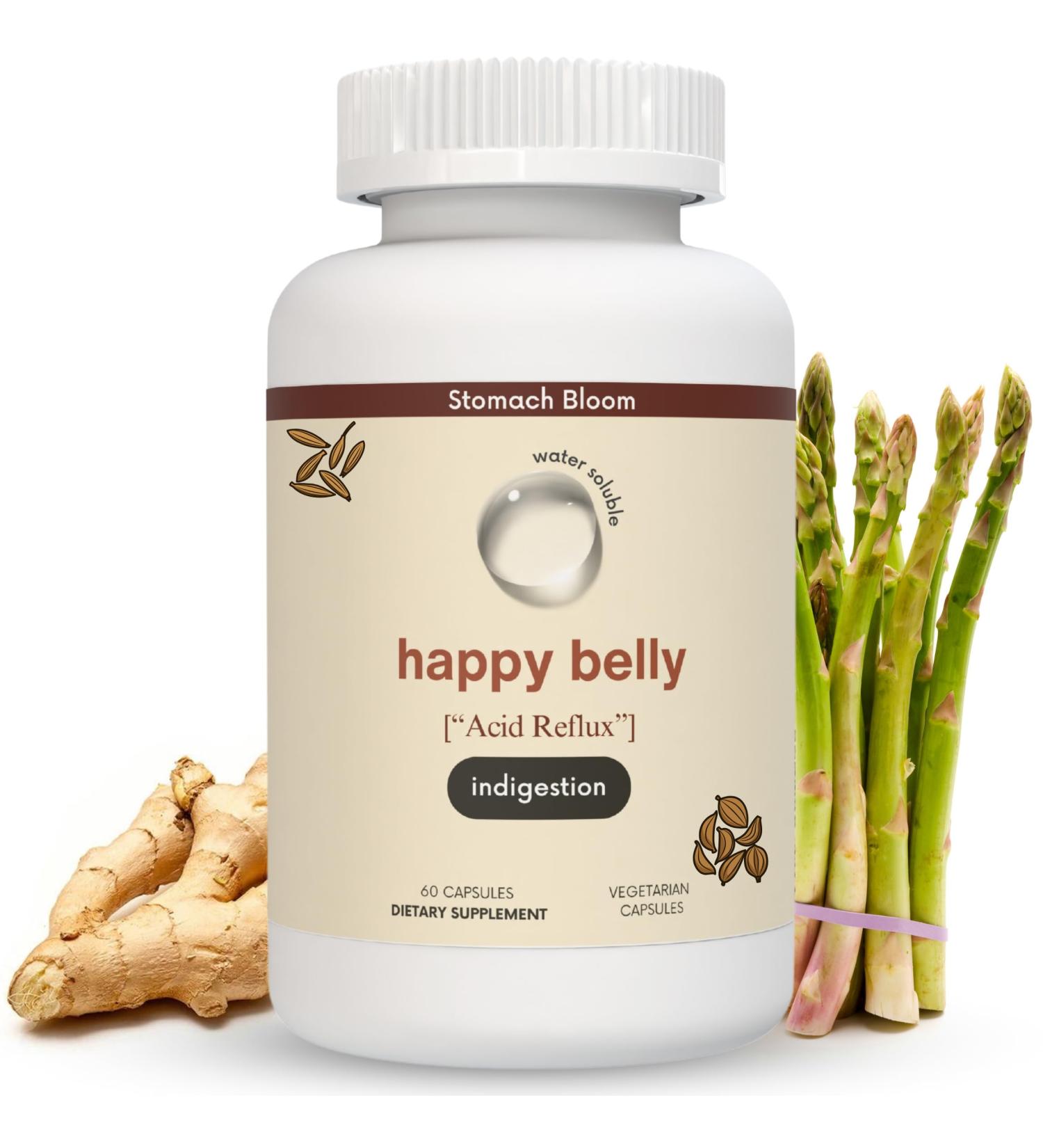 Acid & Indigestion Relief | Doctor-Formulated Antacid Alternative with Ginger Curcumin & Spearmint - 30 Servings - Buy Online on GoSupps.com