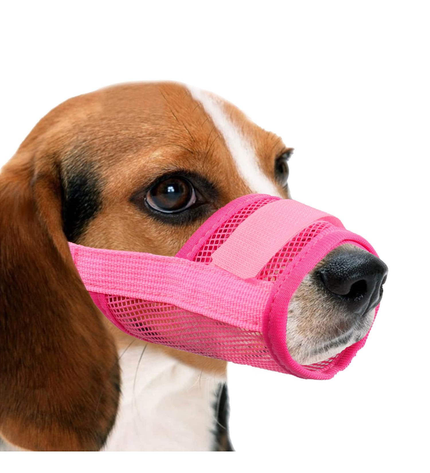 Yaodhaod Breathable Nylon Dog Muzzle - Adjustable Comfortable Quick-Seated for Chewing & Barking (M Pink) - International Shipping Available - Buy Online on GoSupps.com