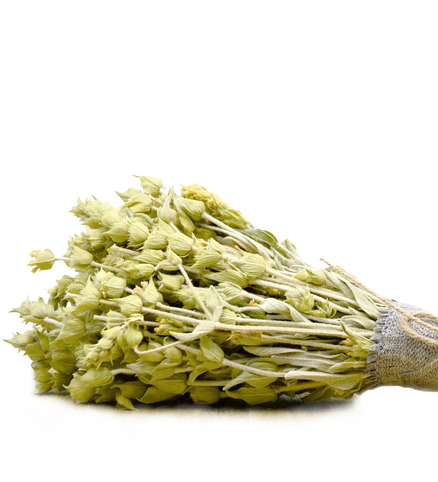 dreikraut Organic Greek mountain tea | Bouquet | 50 g | Traditional cultivation on Olympus | Sideritis scardica/raeseri - Buy Online on GoSupps.com